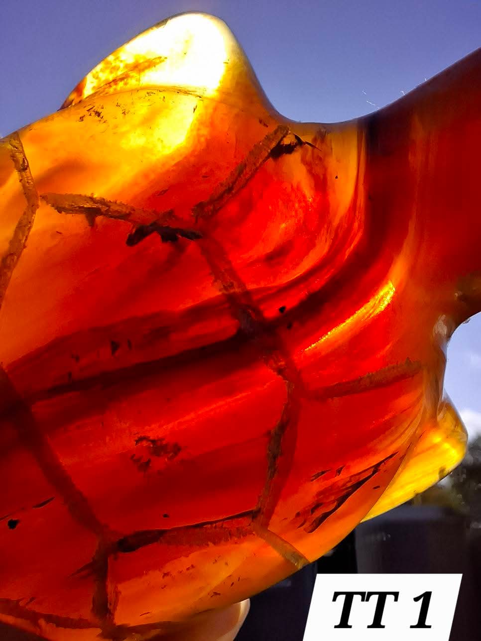 Red Amber Turtle, 49.15g, Carving, Fossil (Ref: TT1)