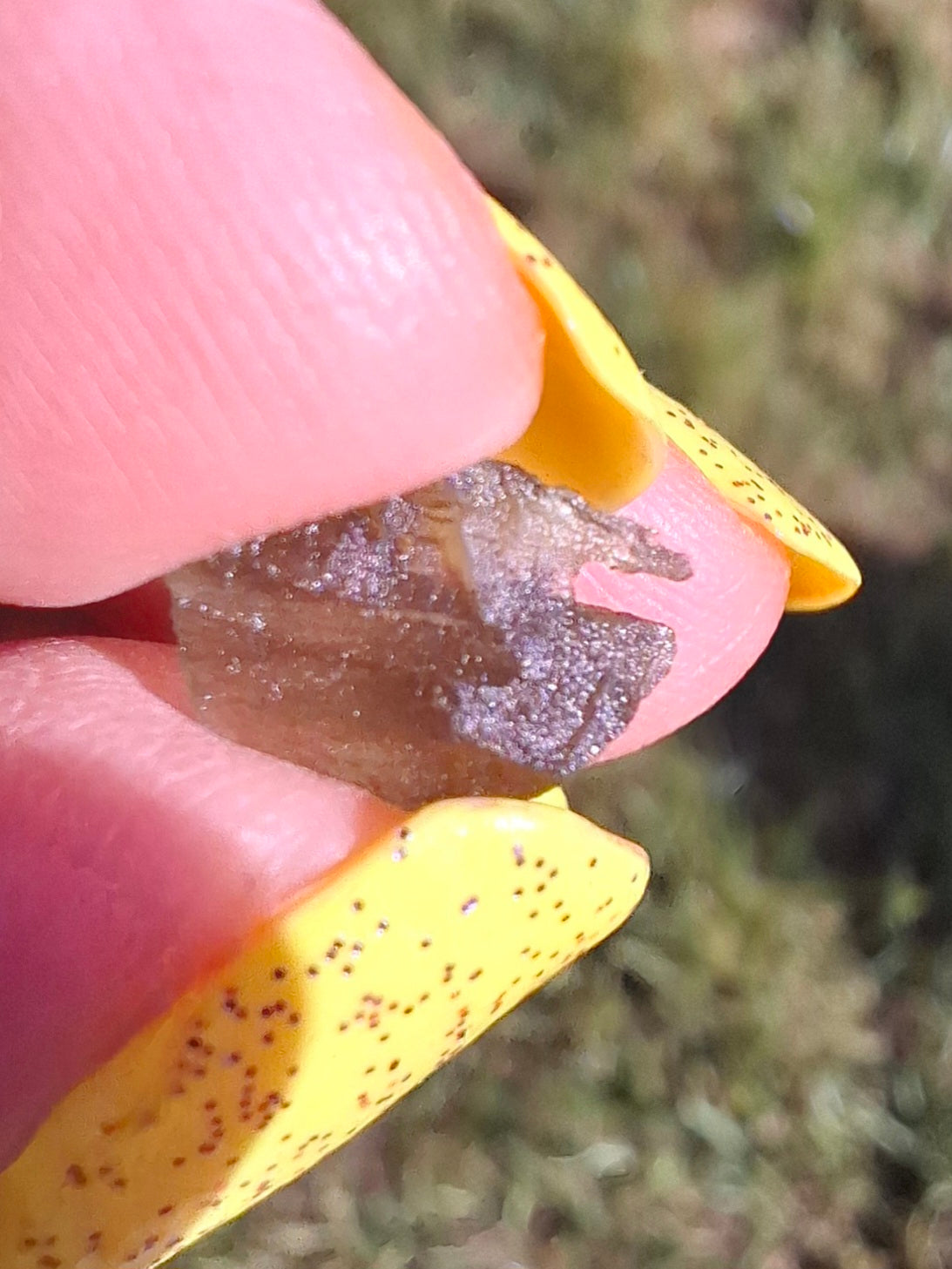 Moldavite small Piece, 0.41g, Tektite (Ref: 1482)