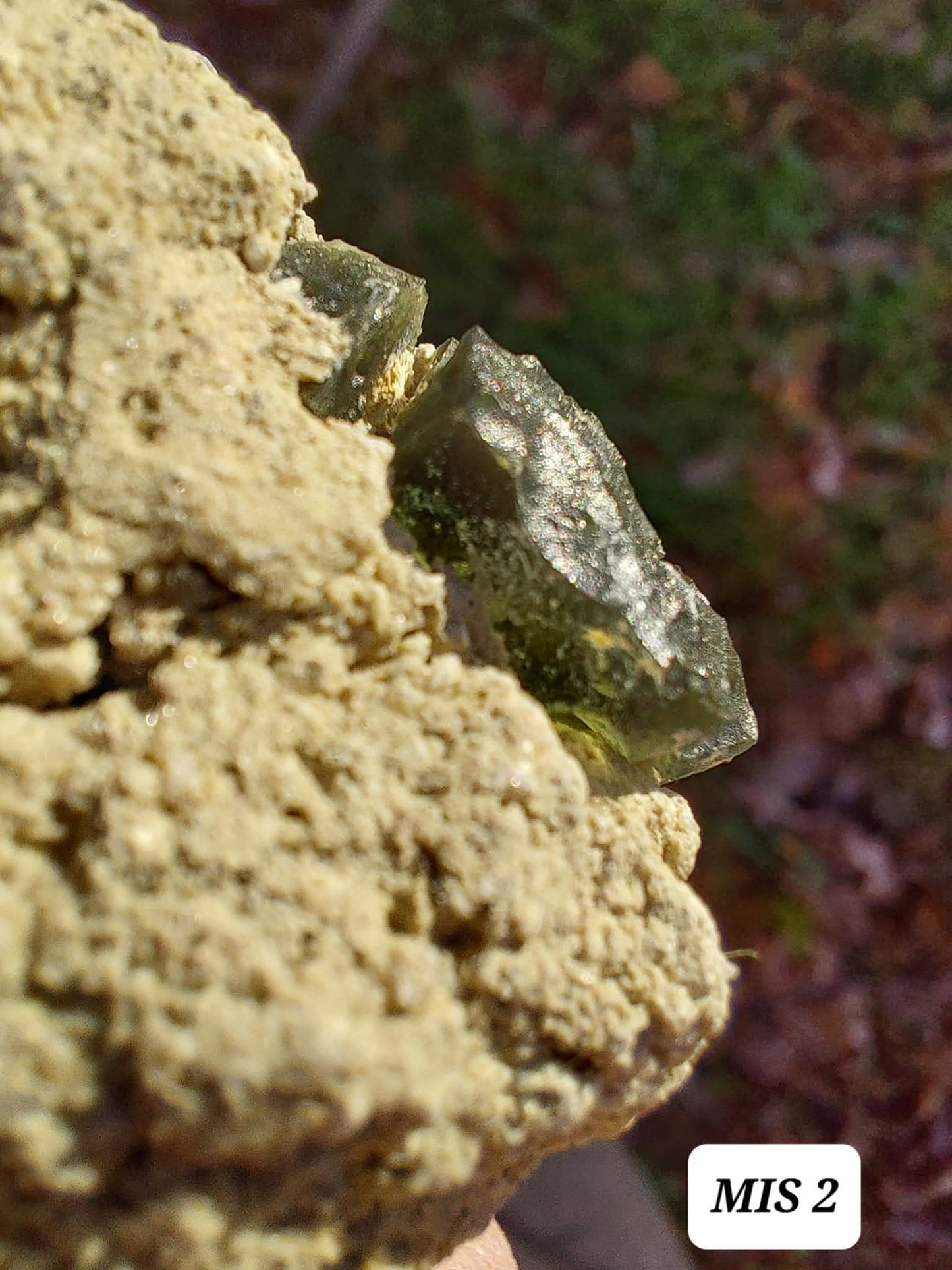 Moldavite In-Situ (in matrix), Besednice, Est 3.5-4g, Tektite (Ref: MIS2)