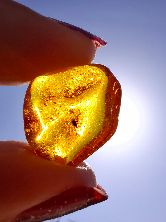 Baltic Amber, 1.12g, Fossil (Ref: A111)