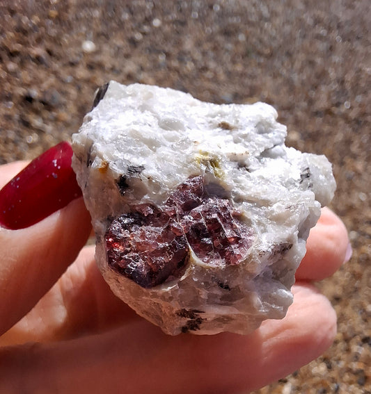 (Dig your own) Garnet in Matrix, Crystal (Ref: RG5)