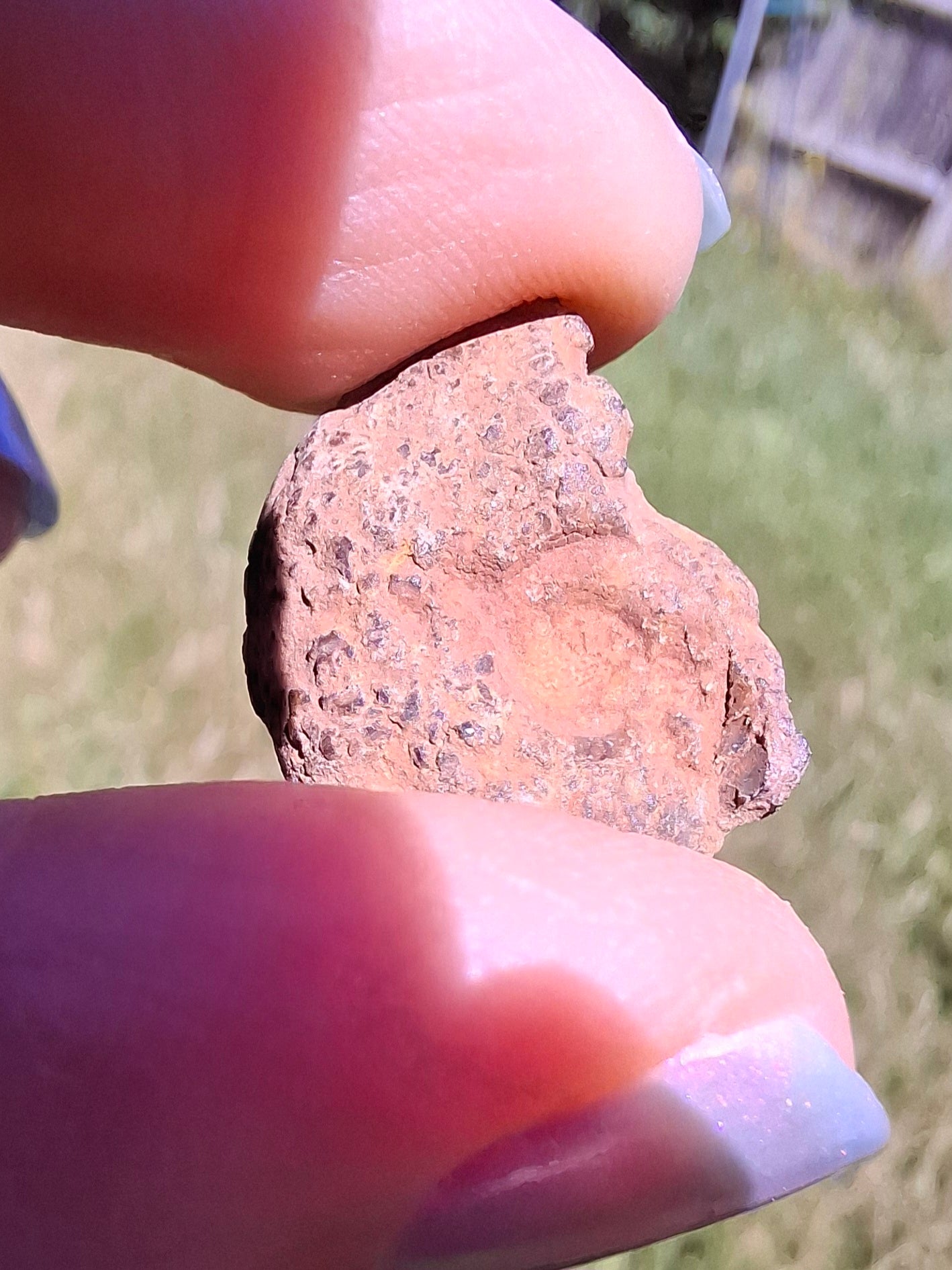 Small Haematite Ammonite Halves BUNDLE, (7 pcs), Fossil (Ref: MA13)