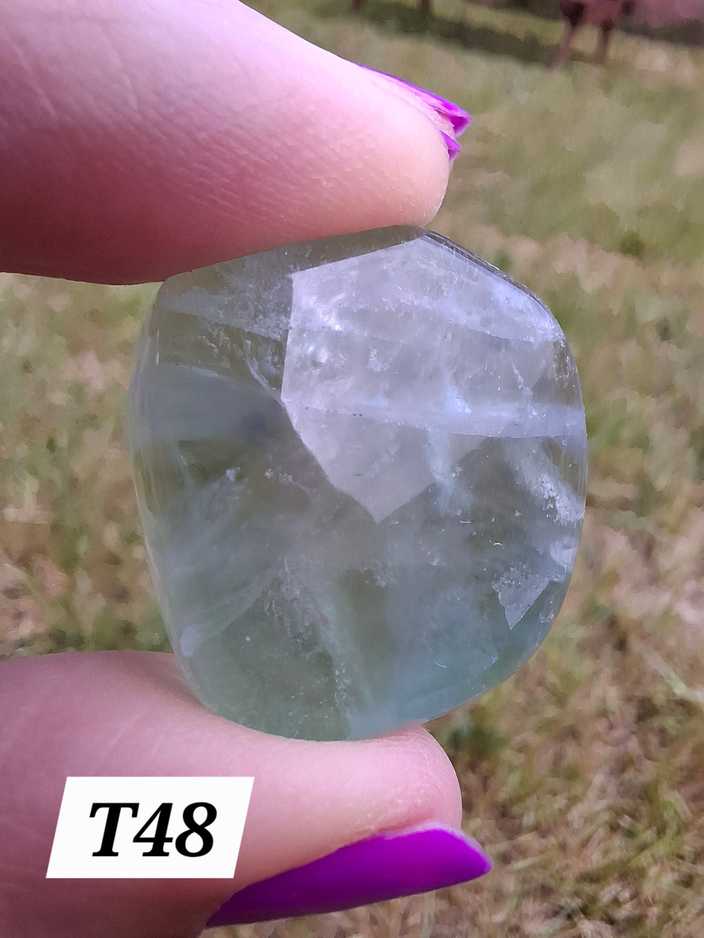 Fluorite, Tumble Stone, Crystal (Ref: T48)