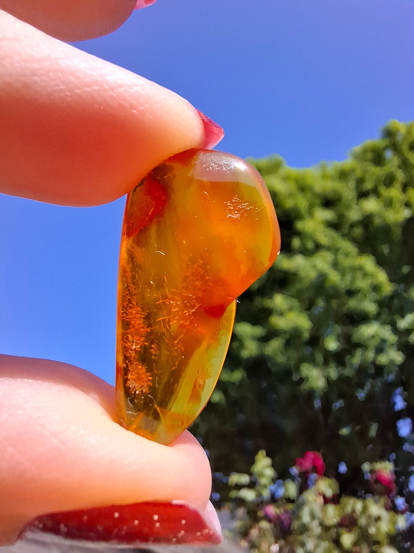 Baltic Amber, 1.48g, Fossil (Ref: A221)