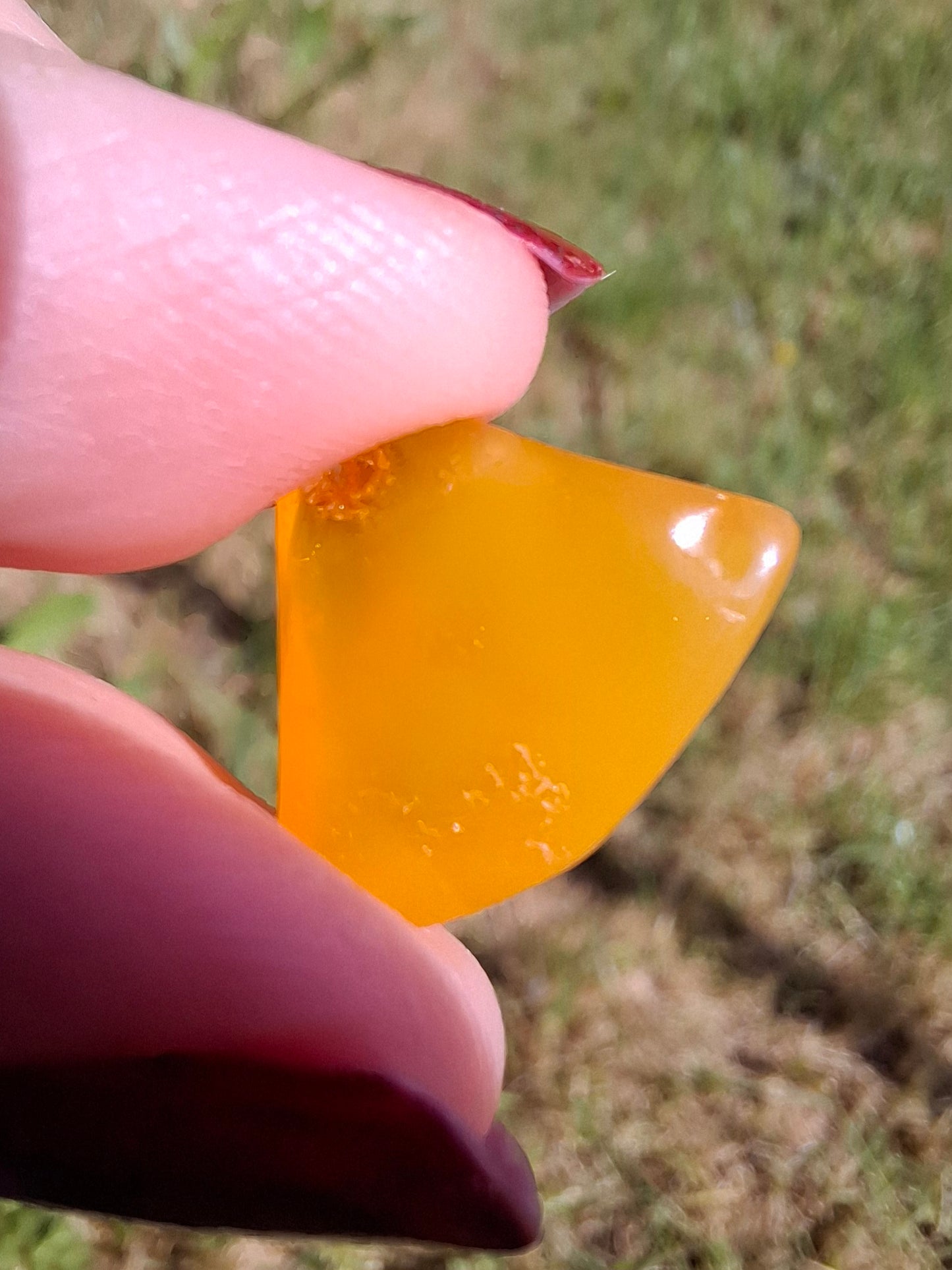 Baltic Amber, 1.00g, Fossil (Ref: A250)