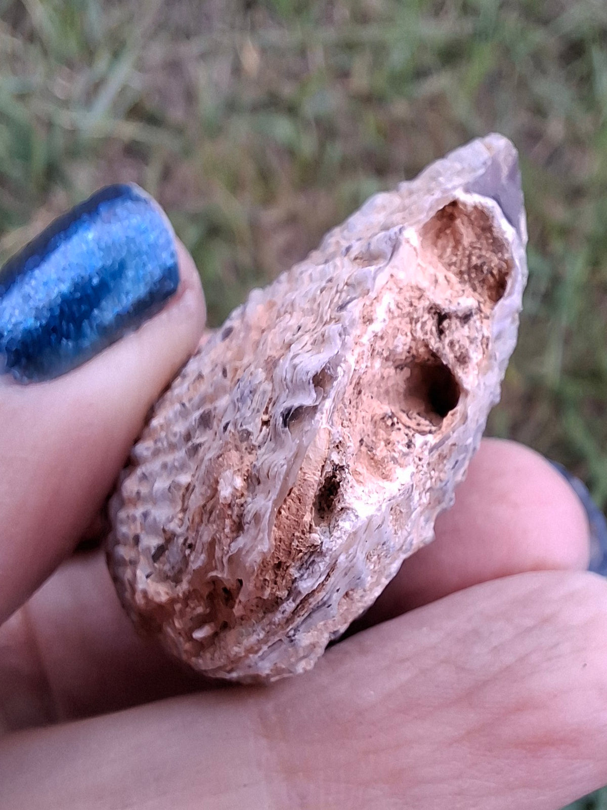 Chalcedony Oyster, Fossil (Ref: FO5)