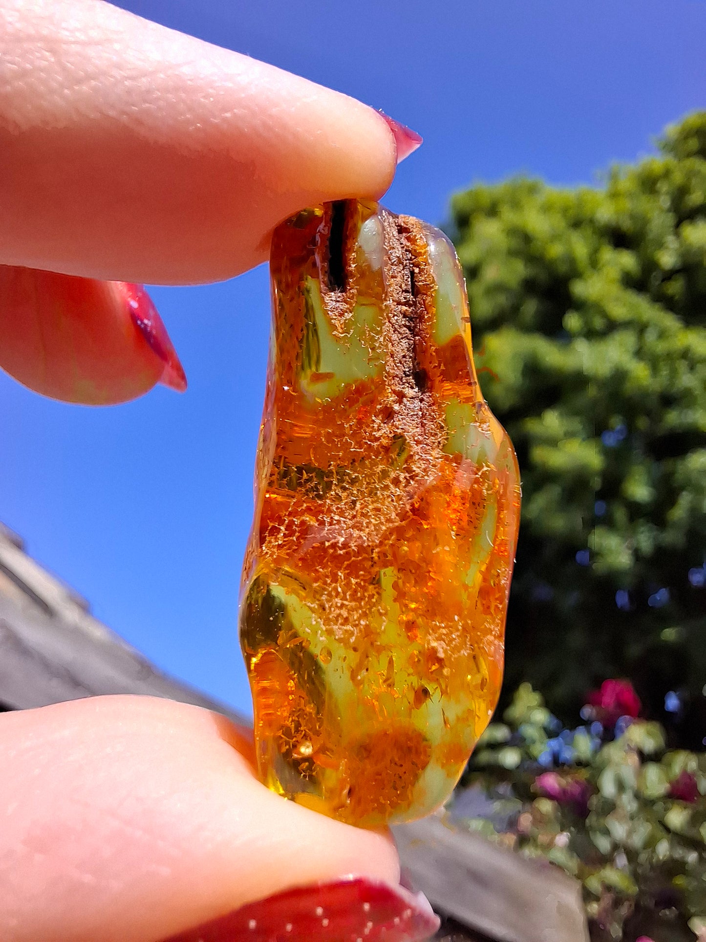Baltic Amber, 2.95g, Fossil (Ref: A159)