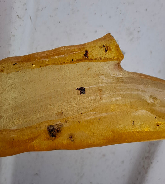 Copal Young Amber with INSECTS inside, 10.79g, Fossil (Ref: CA14)