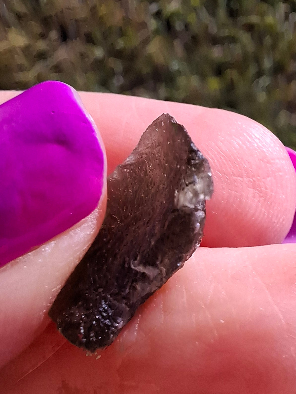 Moldavite Piece, 1.22g, Tektite (Ref: 1464)