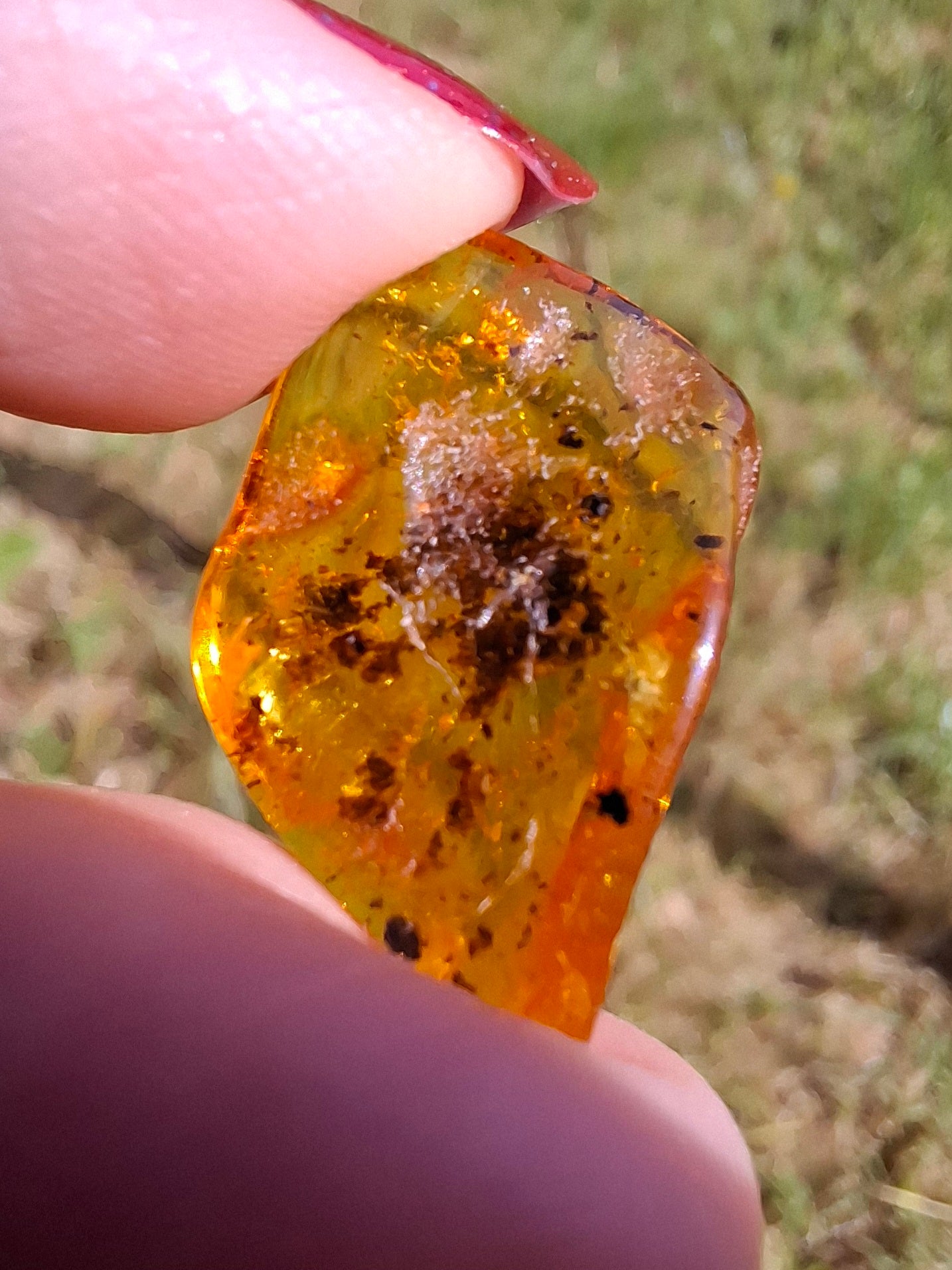 Baltic Amber, 1.13g, Fossil (Ref: A241)