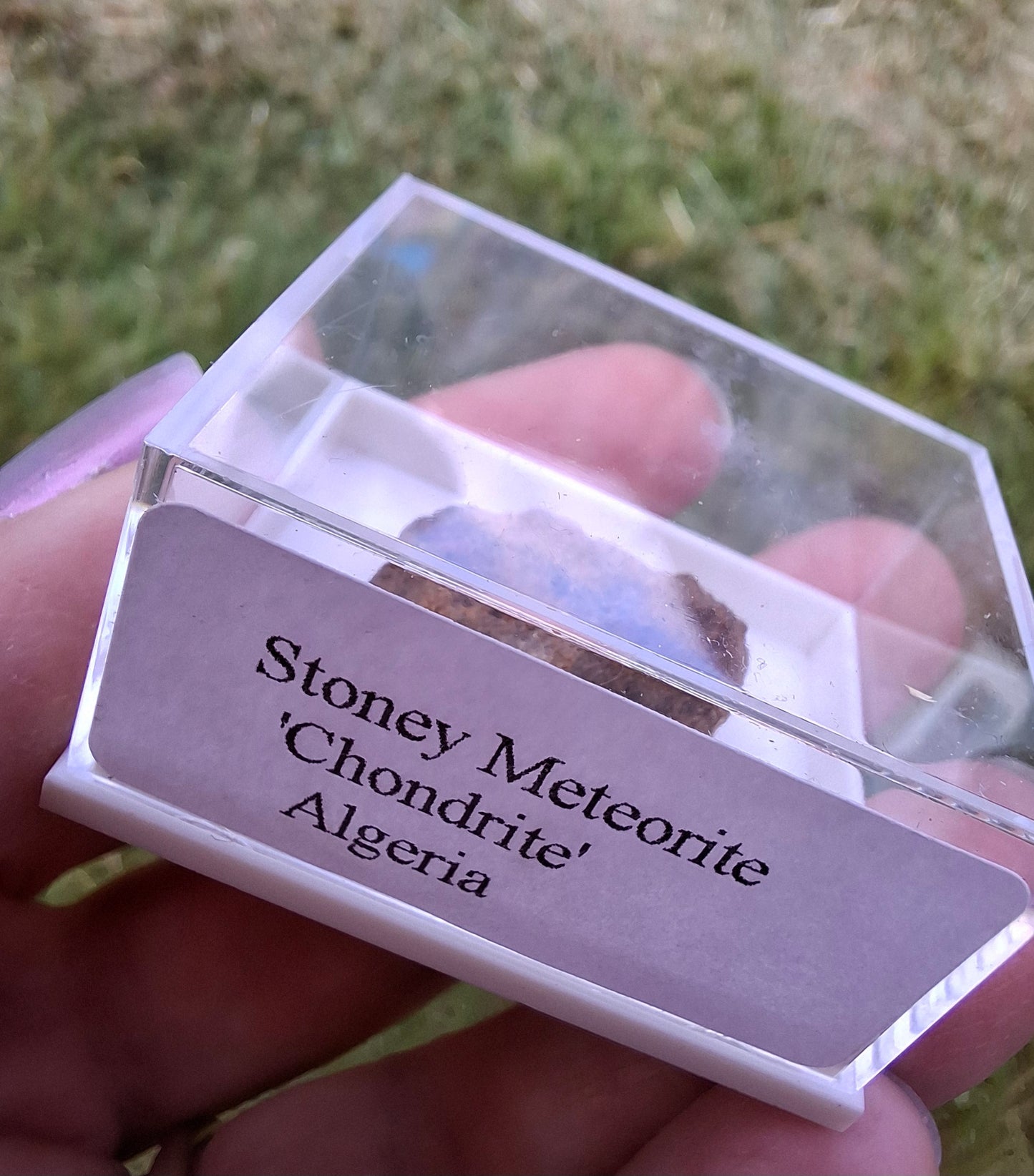 Chondrite, Meteorite (Ref: CM7)