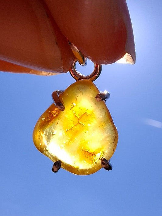 Baltic Amber Pendant, 925 Silver, Fossil (Ref: AP28)