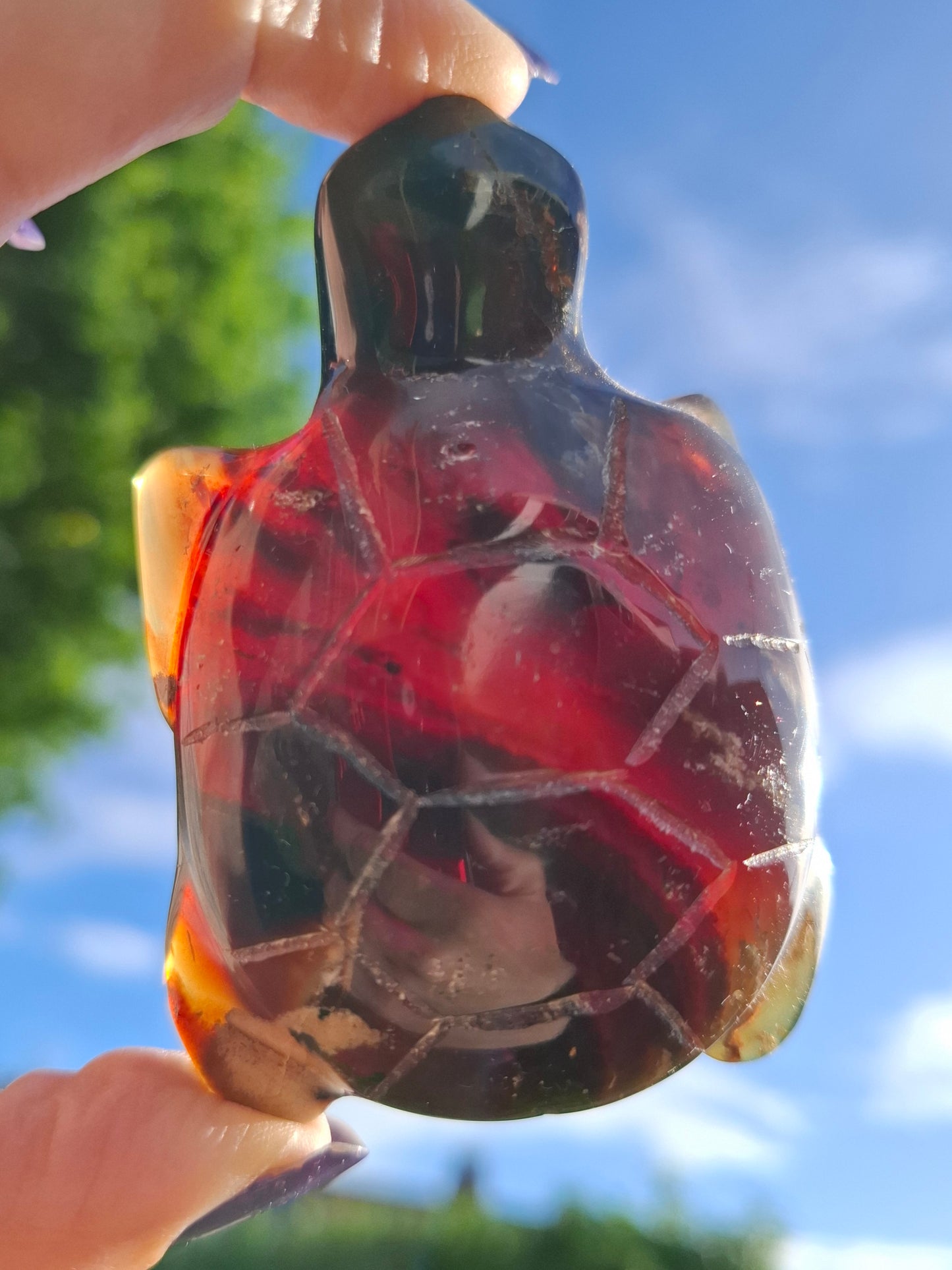 Red Amber Turtle, 56.87g, Carving, Fossil (Ref: TT2)