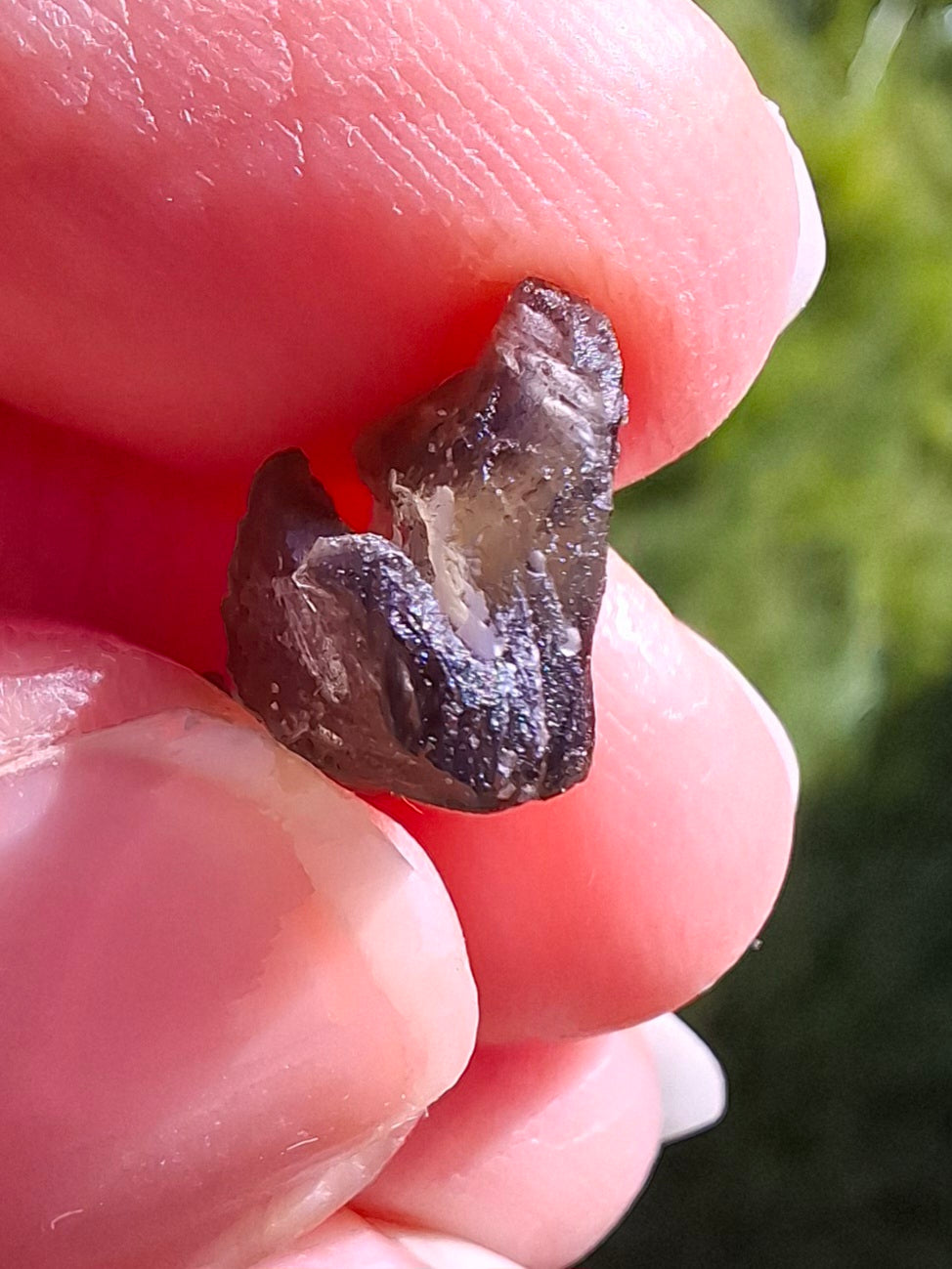 DRILLED, Moldavite Piece, 0.80g, Tektite (Ref: D24)