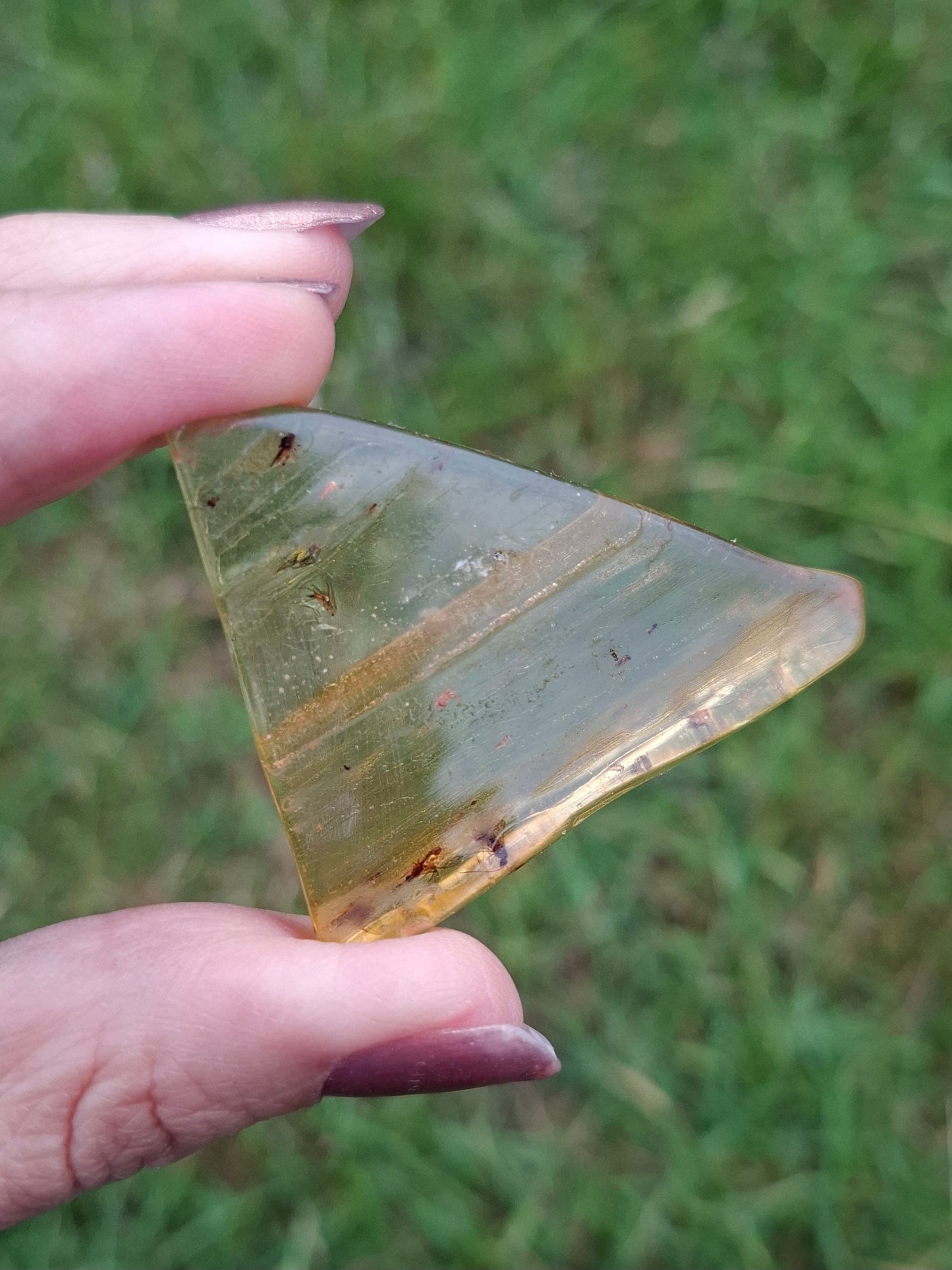 Copal Young Amber with INSECTS inside, 8.39g, Fossil (Ref: CA31)