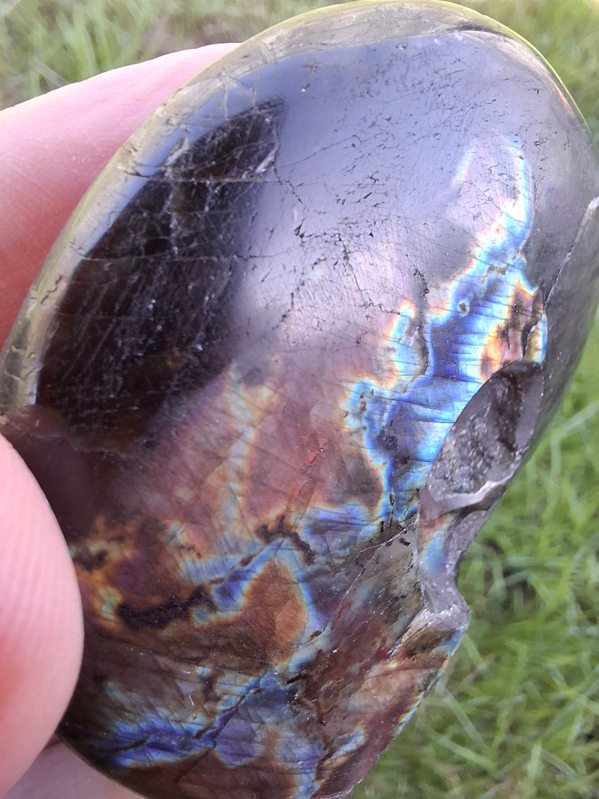 Labradorite Ammonite Carving, 89.31g, Crystal (Ref: laba6)