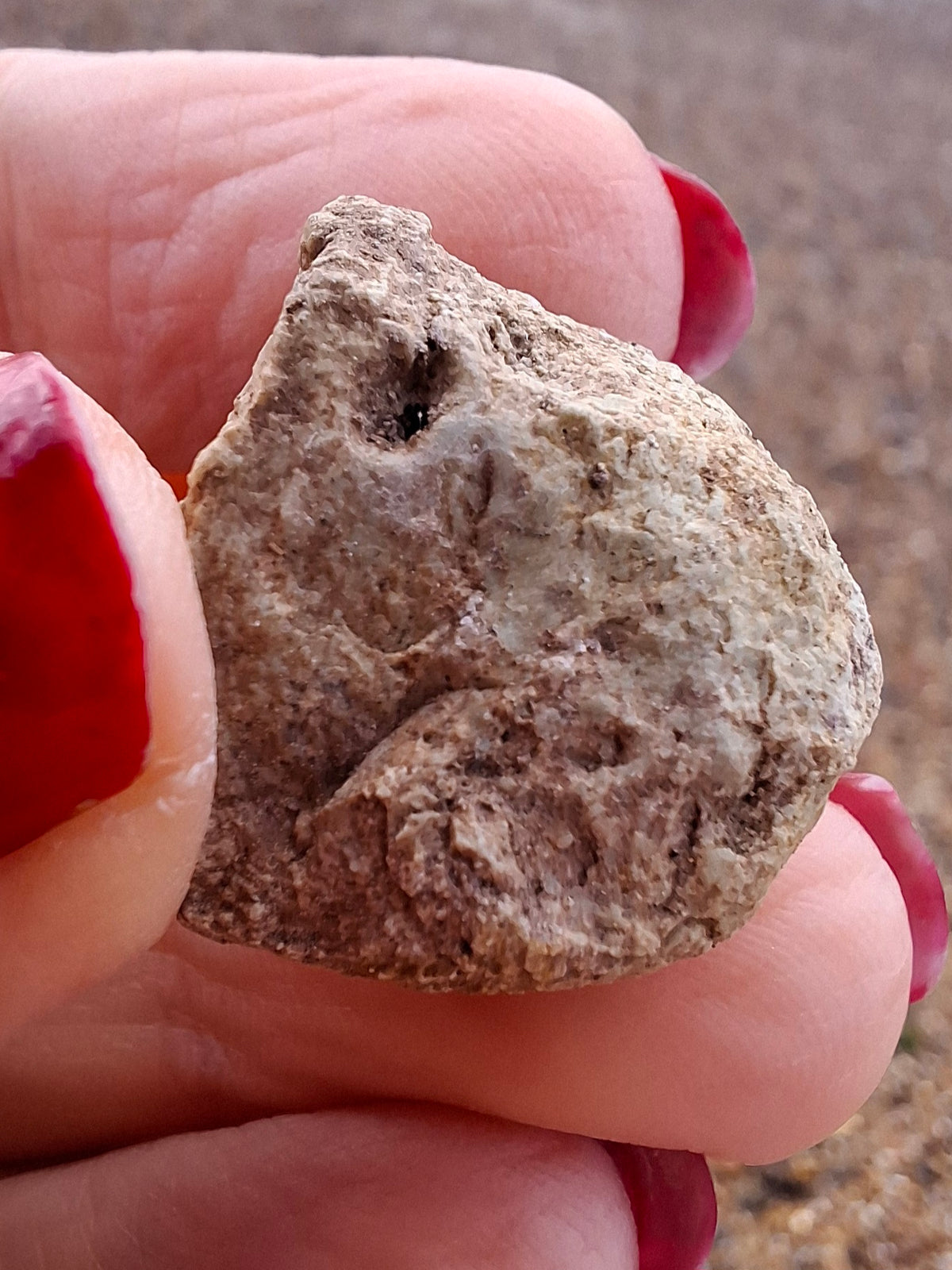 Sauropod Dinosaur Coprolite, 7.32g, Fossil (Ref: DP4)