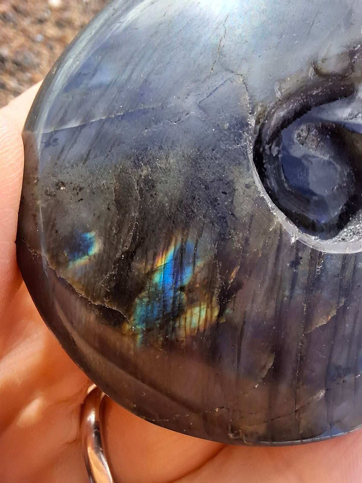 Labradorite Ammonite Carving, 153.97g, Crystal (Ref: laba2)