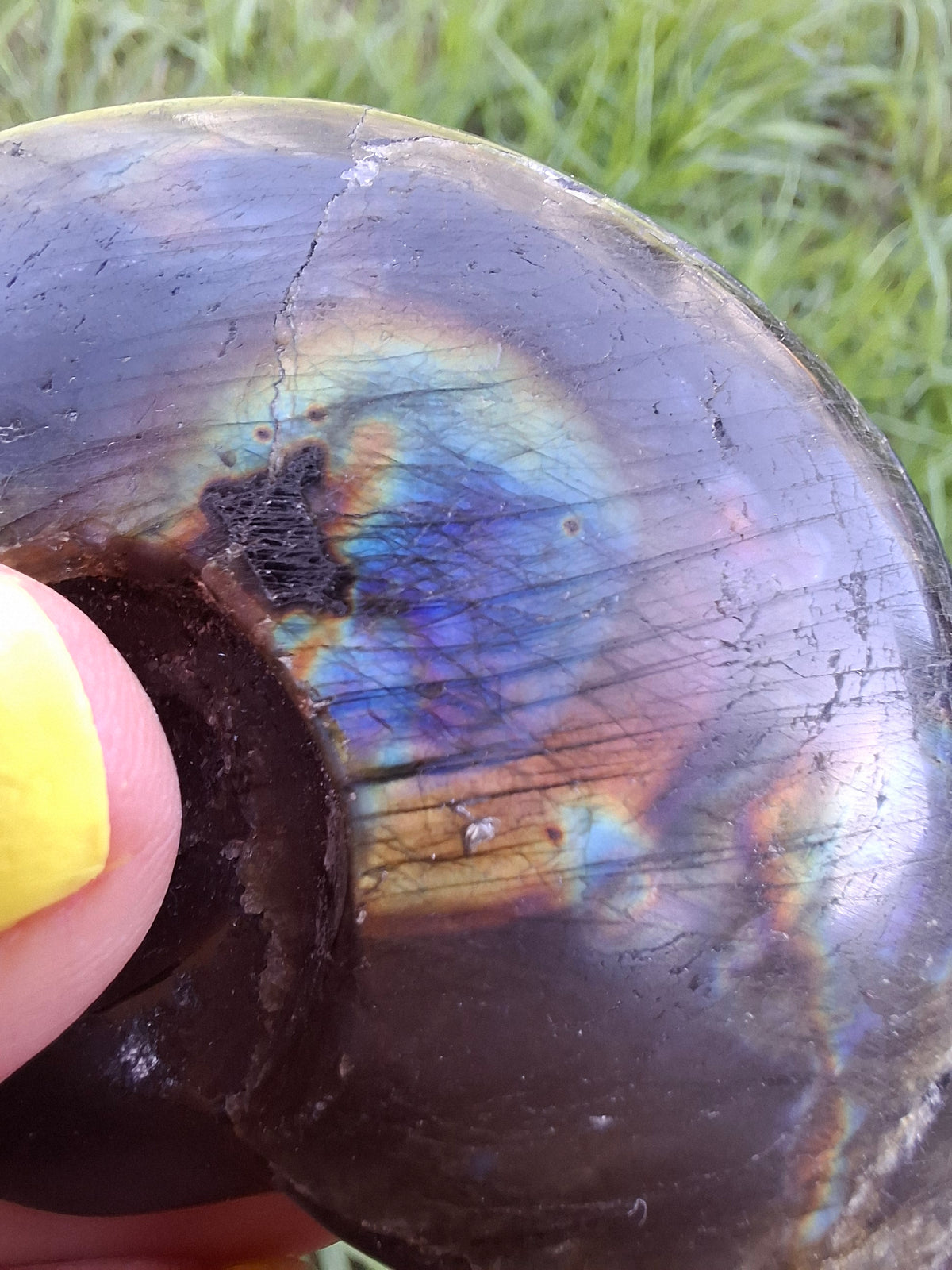 Labradorite Ammonite Carving, 89.31g, Crystal (Ref: laba6)