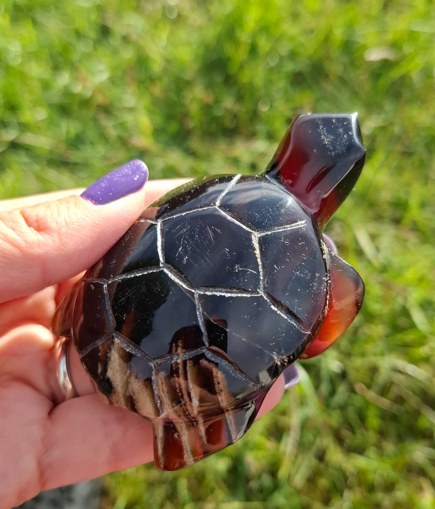 Red Amber Turtle, 59.07g, Carving, Fossil (Ref: TT5)