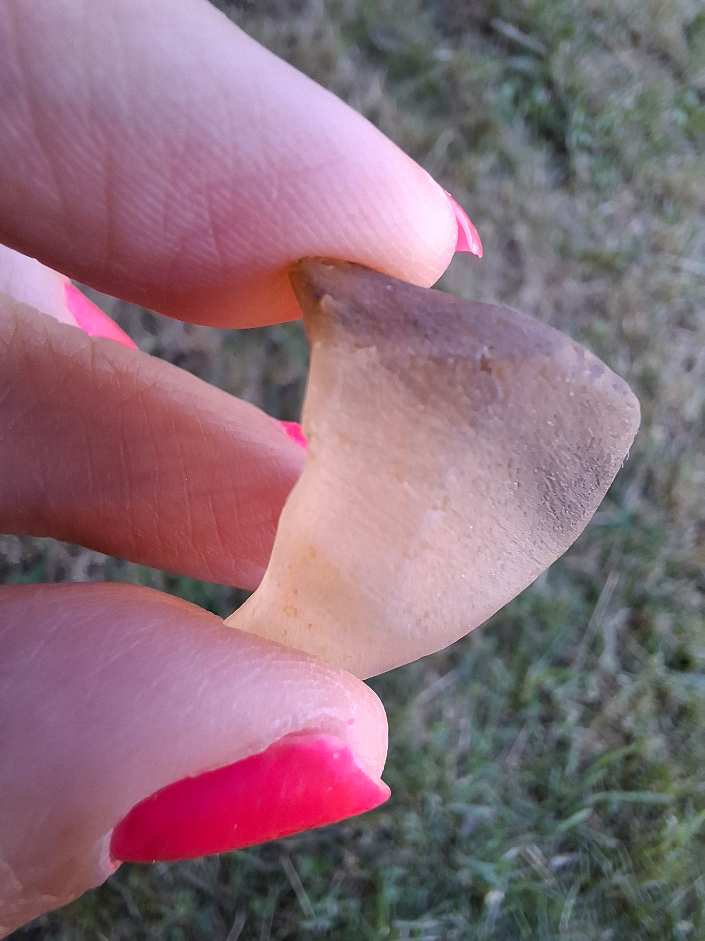 Libyan Desert Glass (darker) Piece, 7.00g, Tektite (Ref: L1373)