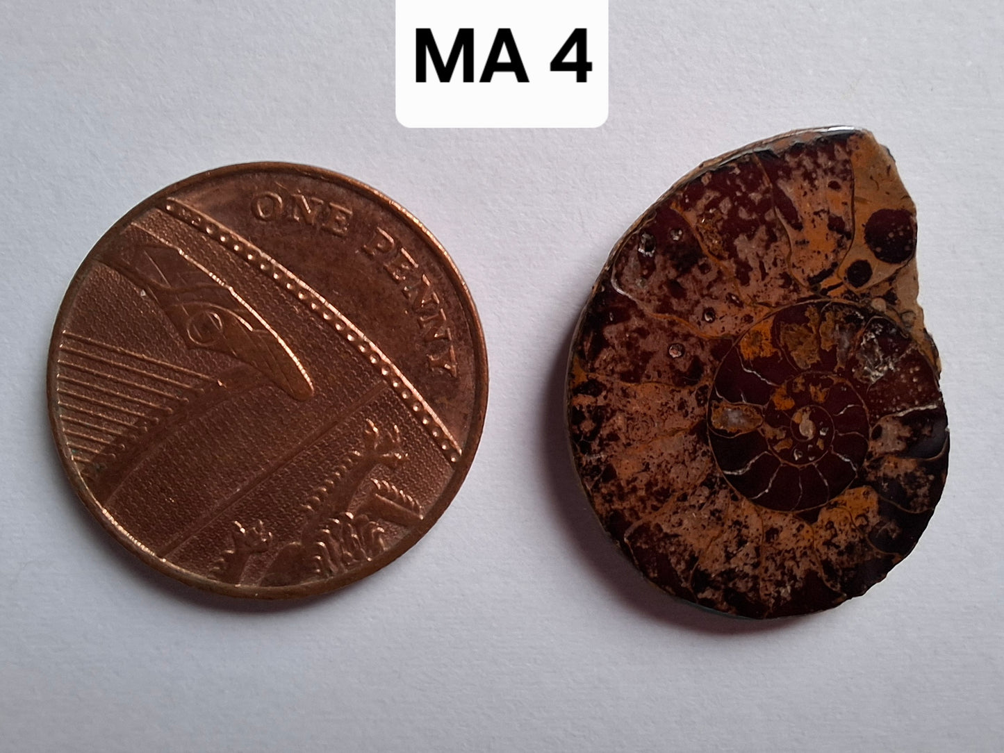 Small Haematite Ammonite HALF, 1.78g, Fossil (Ref: MA4)