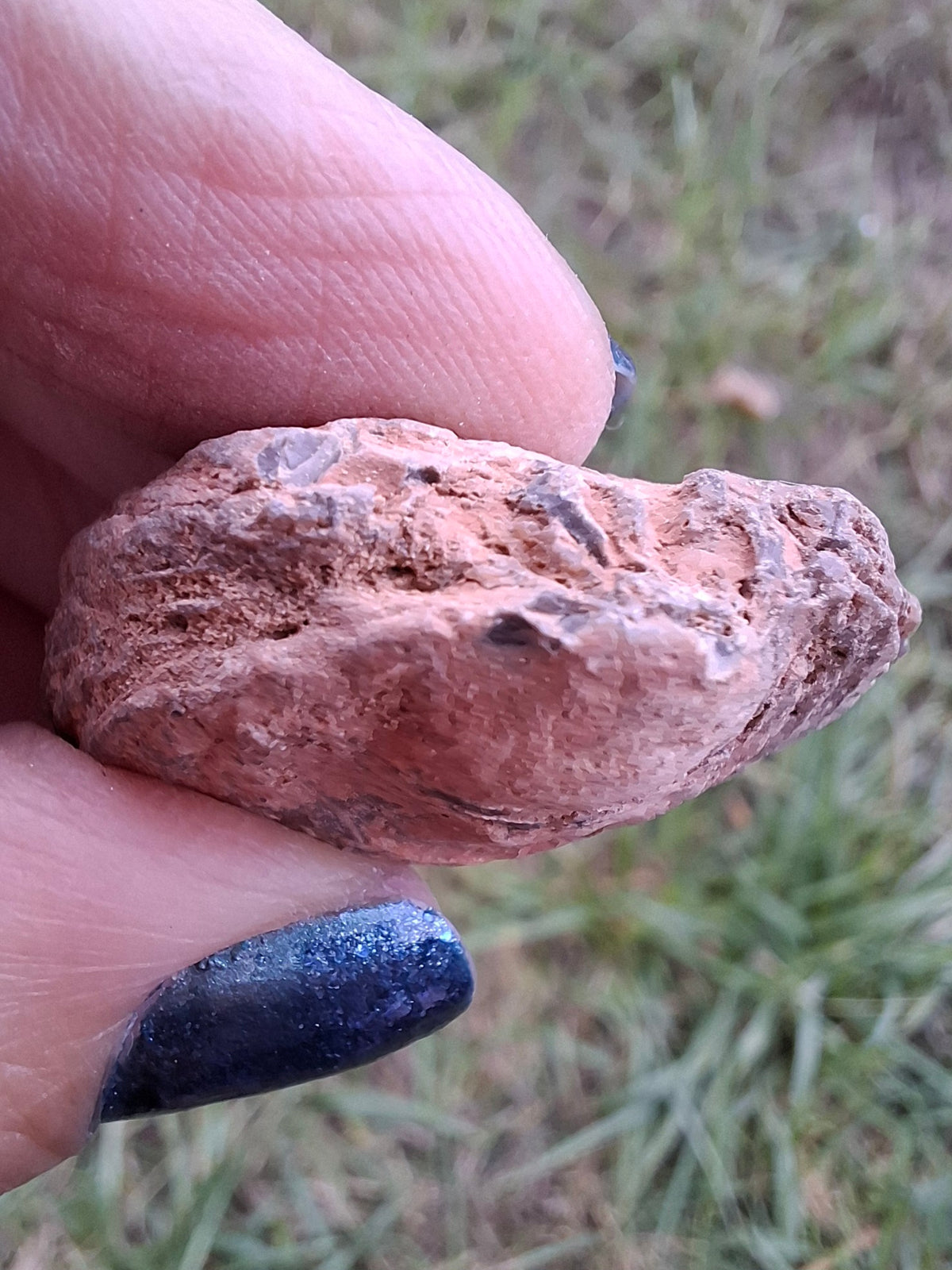 Chalcedony Oyster, Fossil (Ref: FO9)