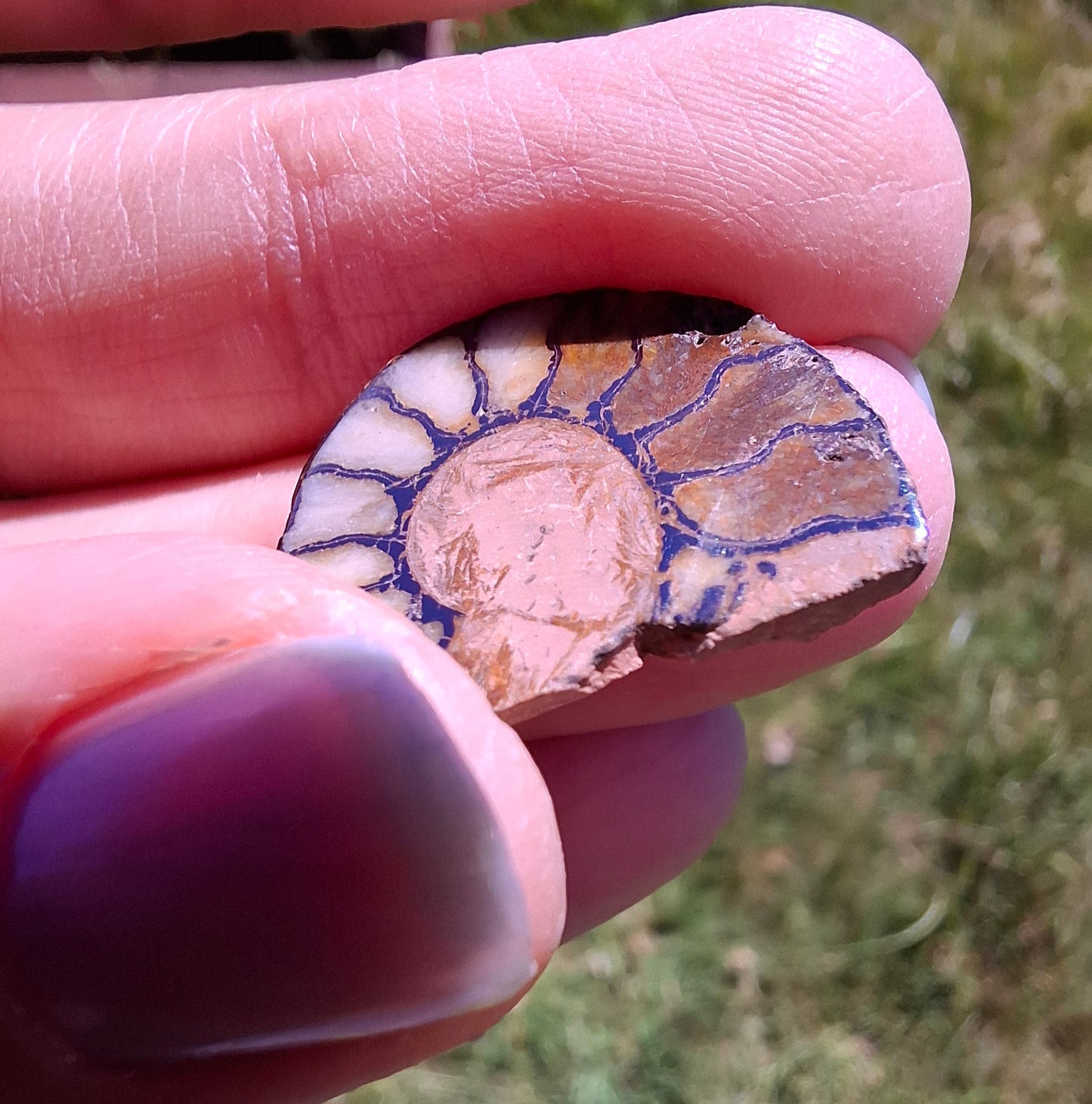 Small Haematite Ammonite HALF, 1.66g, Fossil (Ref: MA2)