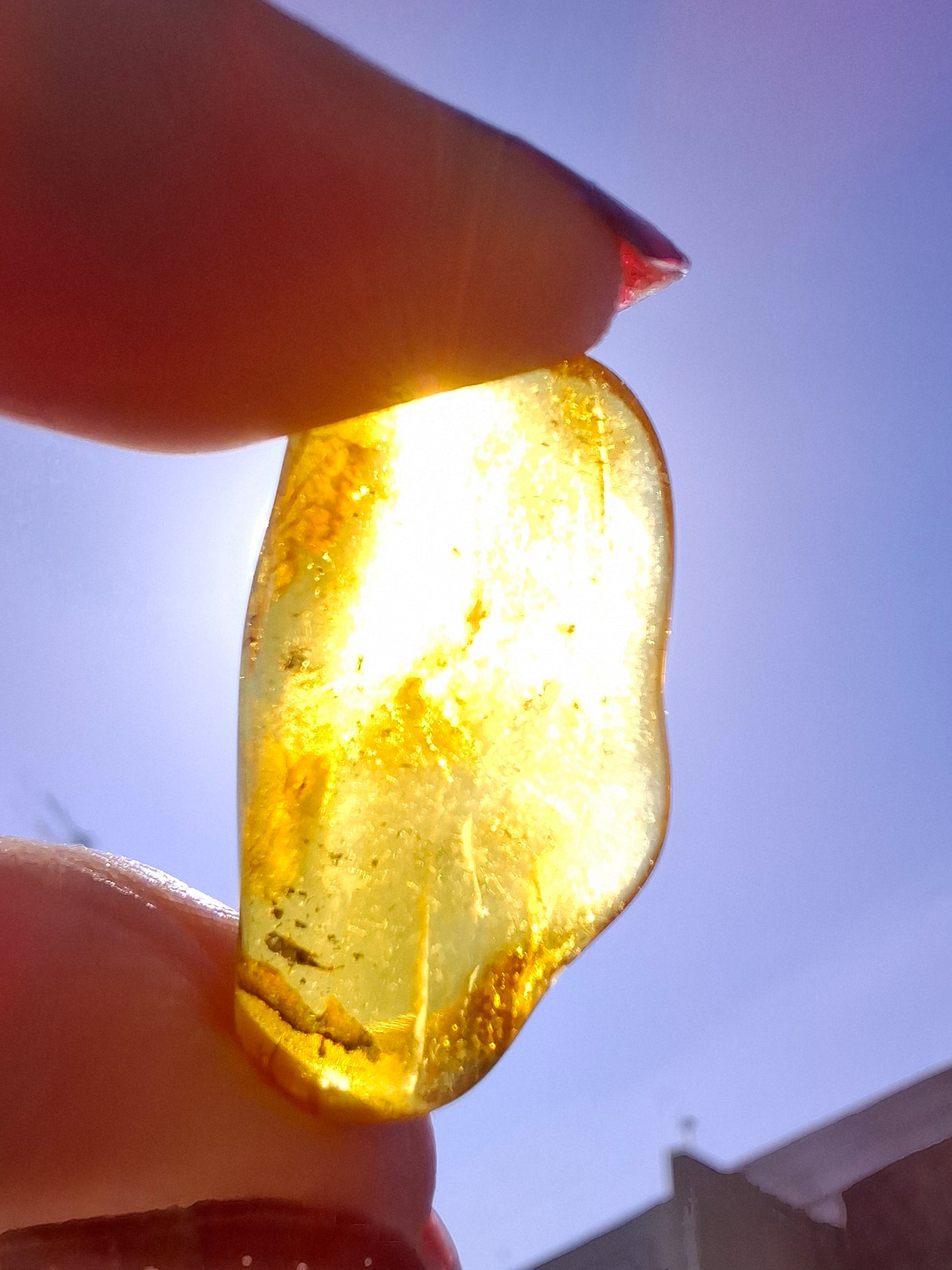 Baltic Amber, 1.23g, Fossil (Ref: A237)