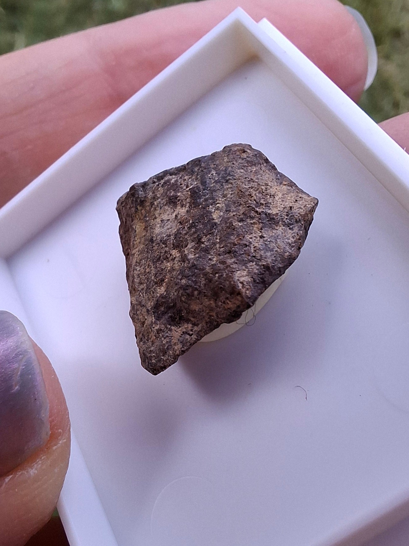 Chondrite, Meteorite (Ref: CM6)