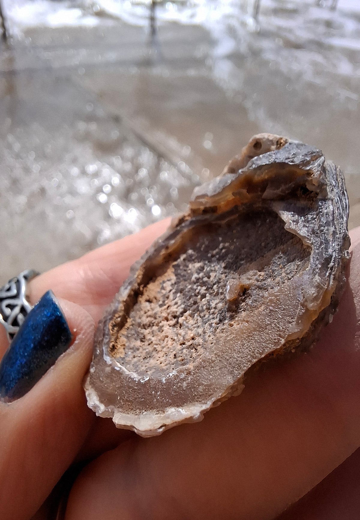 Chalcedony Oyster, Fossil (Ref: FO4)