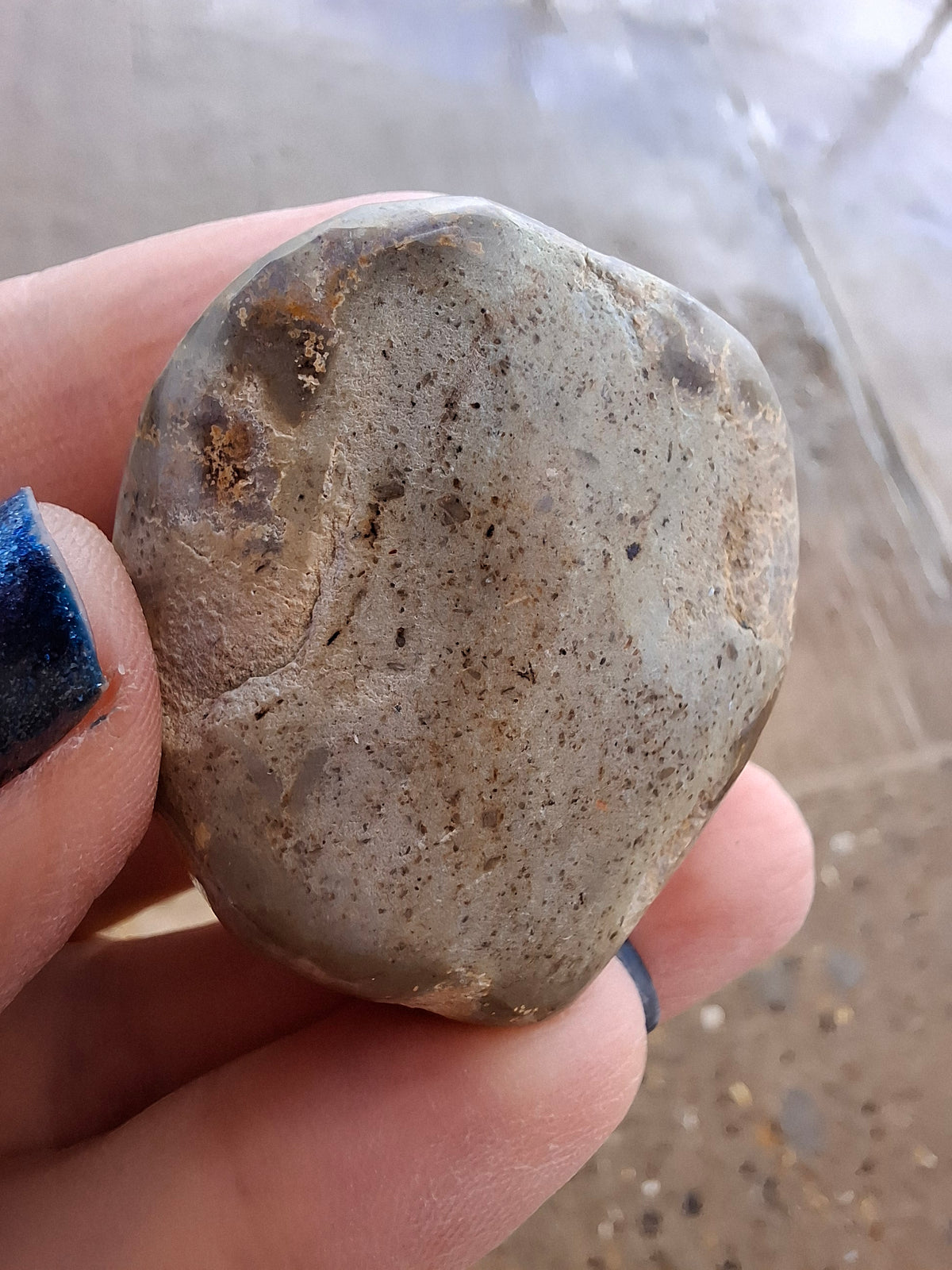 Polished Sea Urchin, Fossil (Ref: SU5)