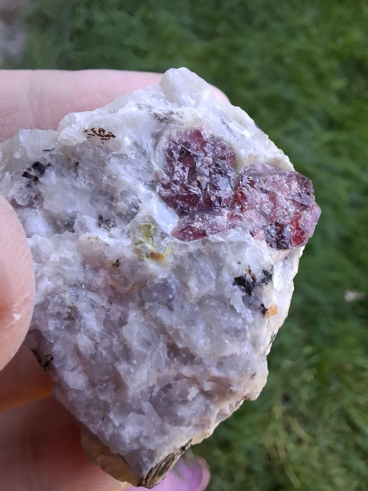 (Dig your own) Garnet in Matrix, Crystal (Ref: RG5)