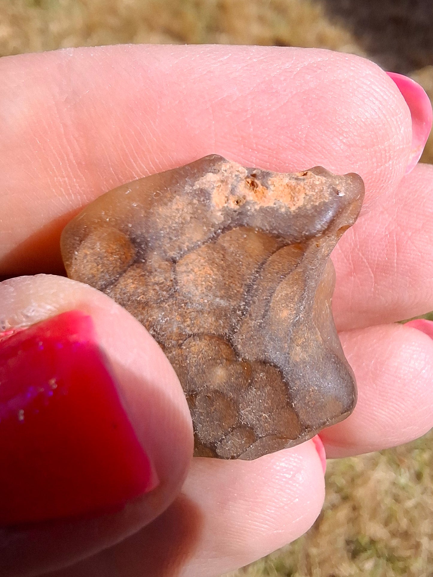 Libyan Desert Glass (darker) Piece, 10.25g, Tektite (Ref: L1368)