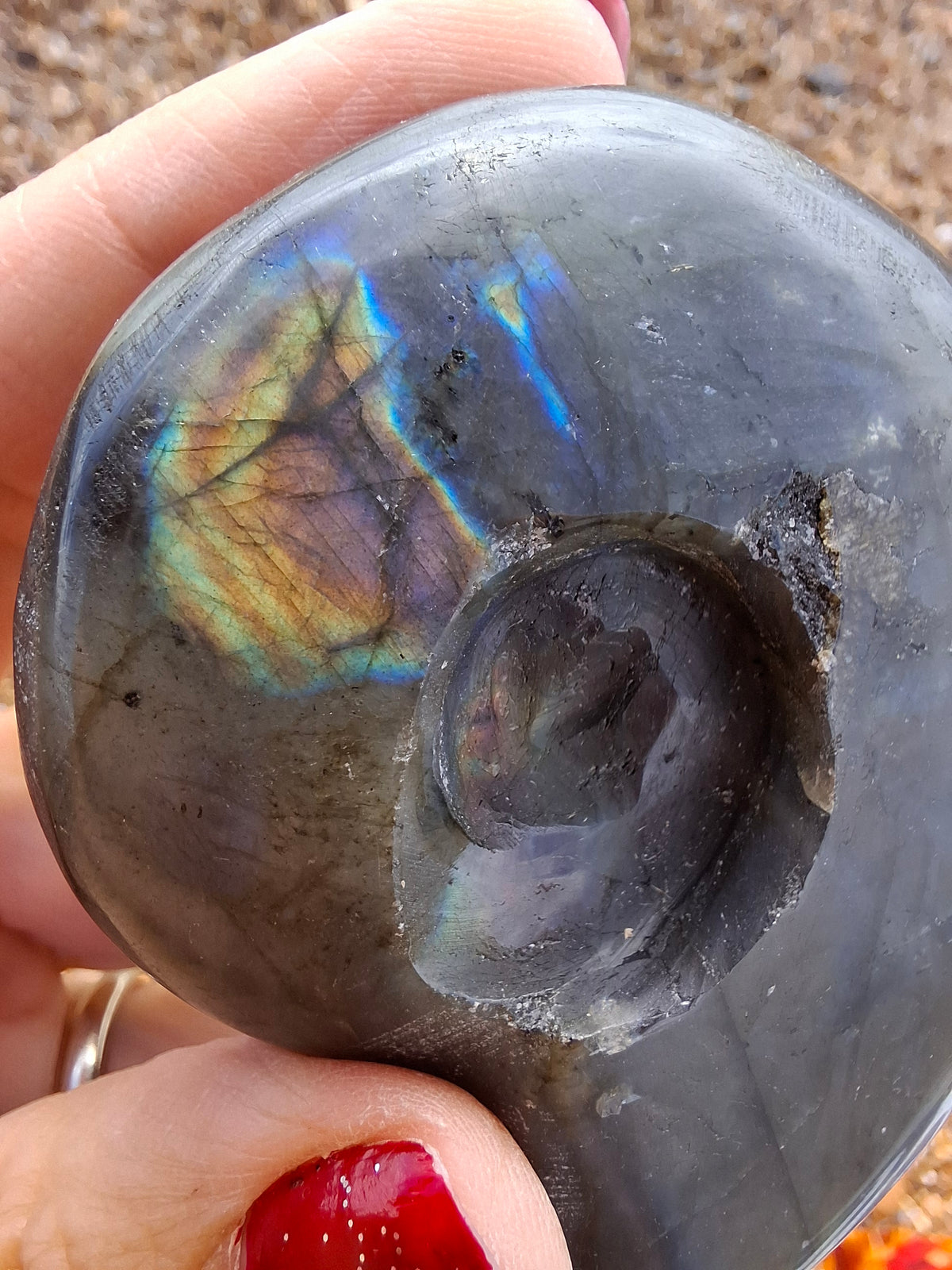 Labradorite Ammonite Carving, 146.90g, Crystal (Ref: laba5)