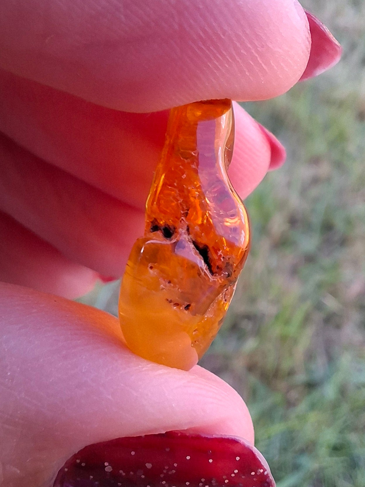 Baltic Amber, 1.51g, Fossil (Ref: A236)