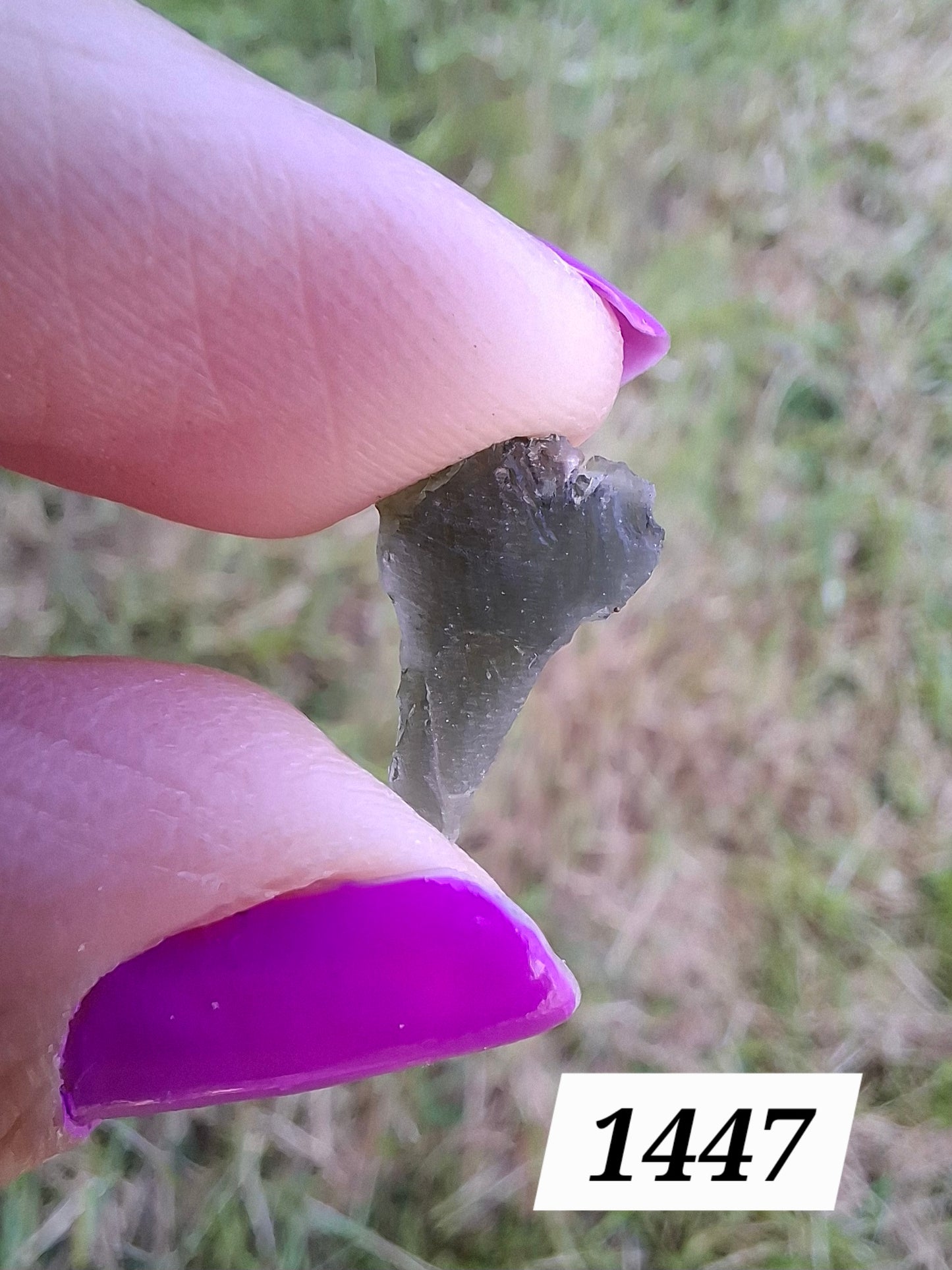 Moldavite Piece, 0.63g, Tektite (Ref: 1447)