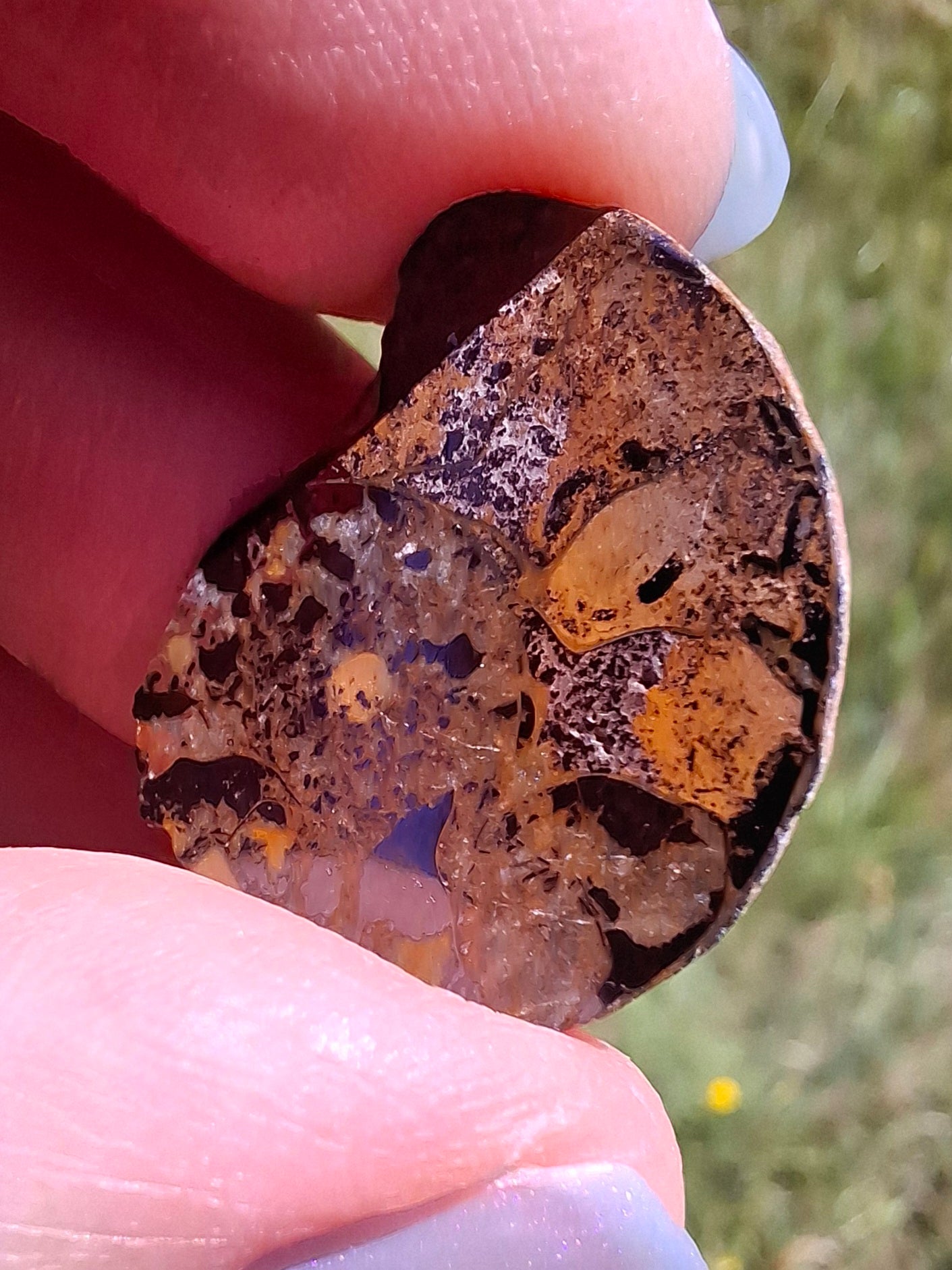 Small Haematite Ammonite HALF, 2.59g, Fossil (Ref: MA7)