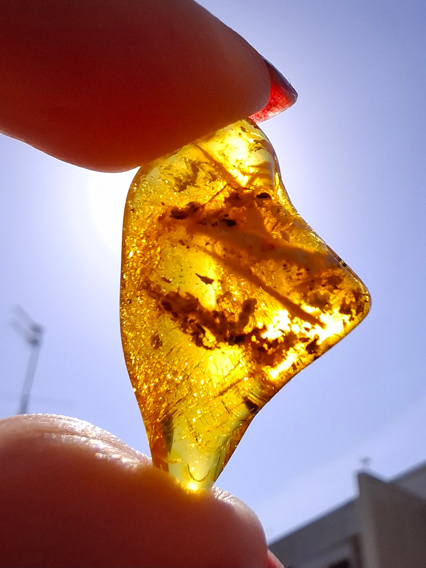 Baltic Amber, 1.25g, Fossil (Ref: A188)