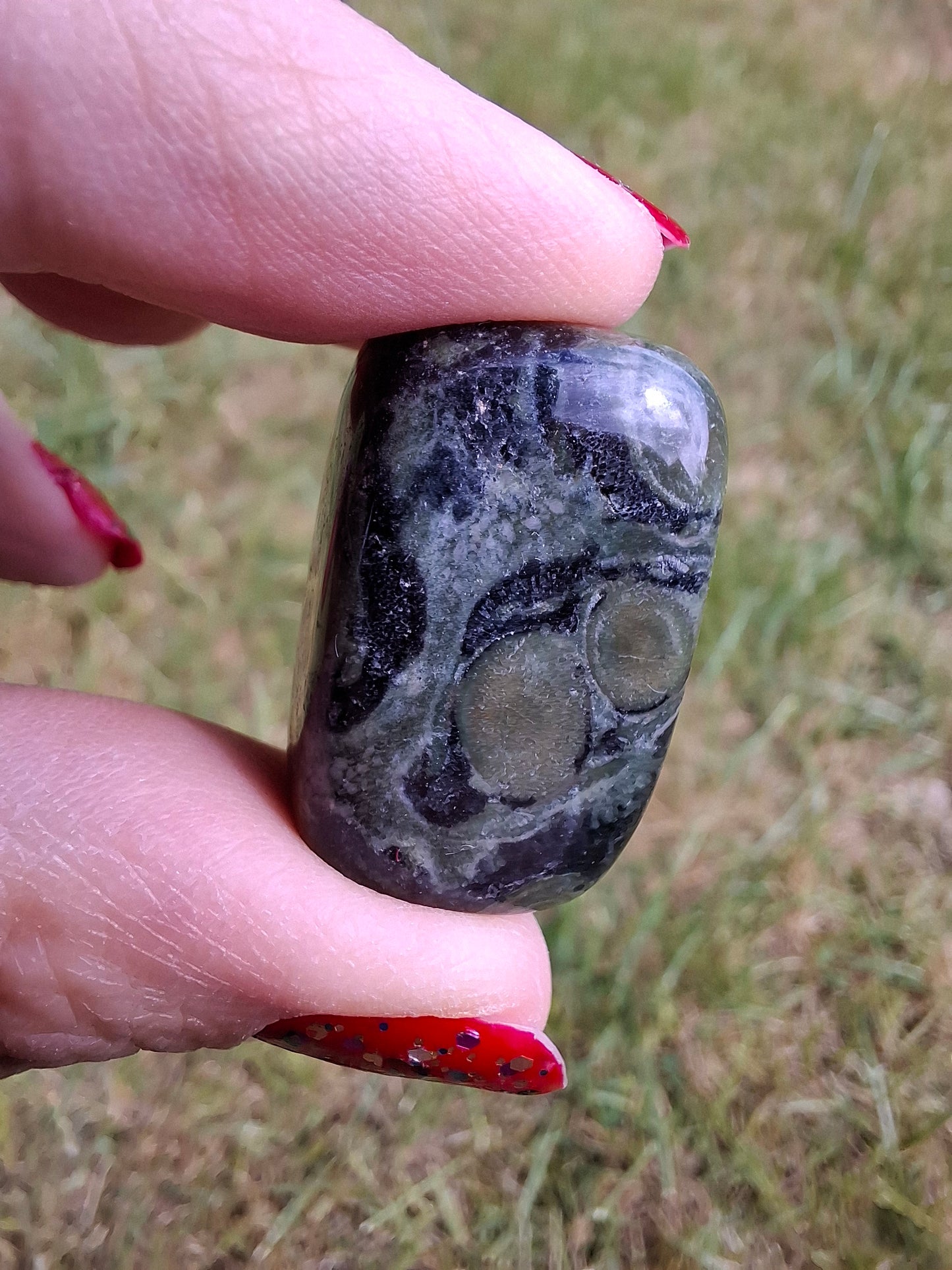 Kambaba Jasper, Tumble Stone, Crystal (Ref: T161)