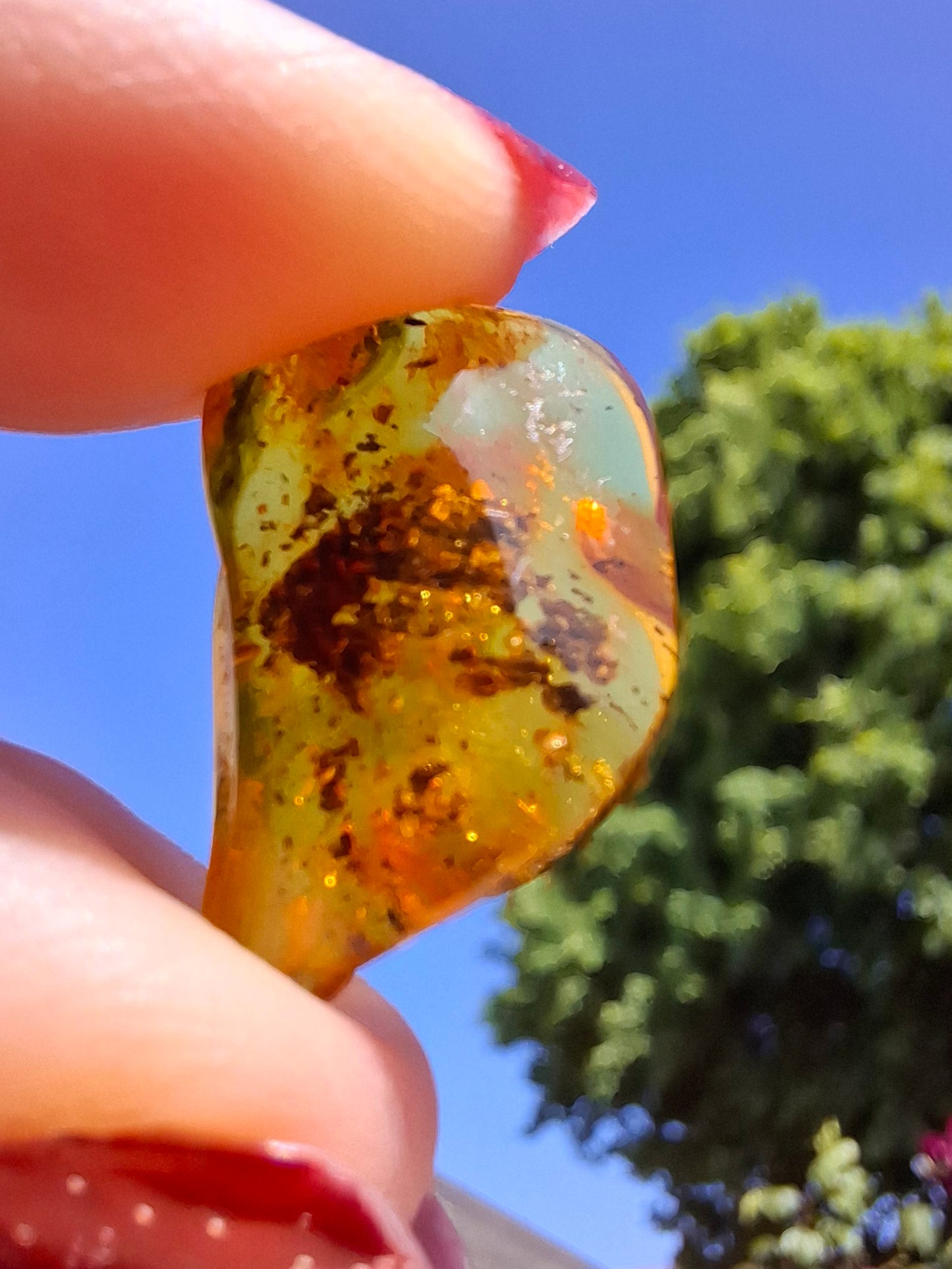 Baltic Amber, 1.13g, Fossil (Ref: A241)