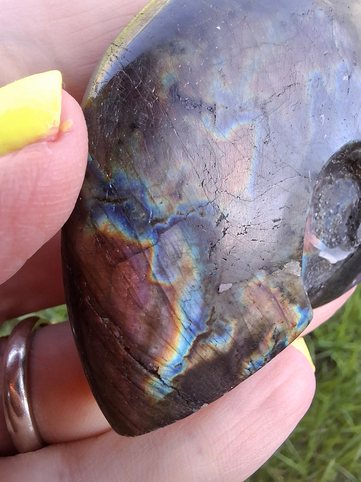 Labradorite Ammonite Carving, 89.31g, Crystal (Ref: laba6)