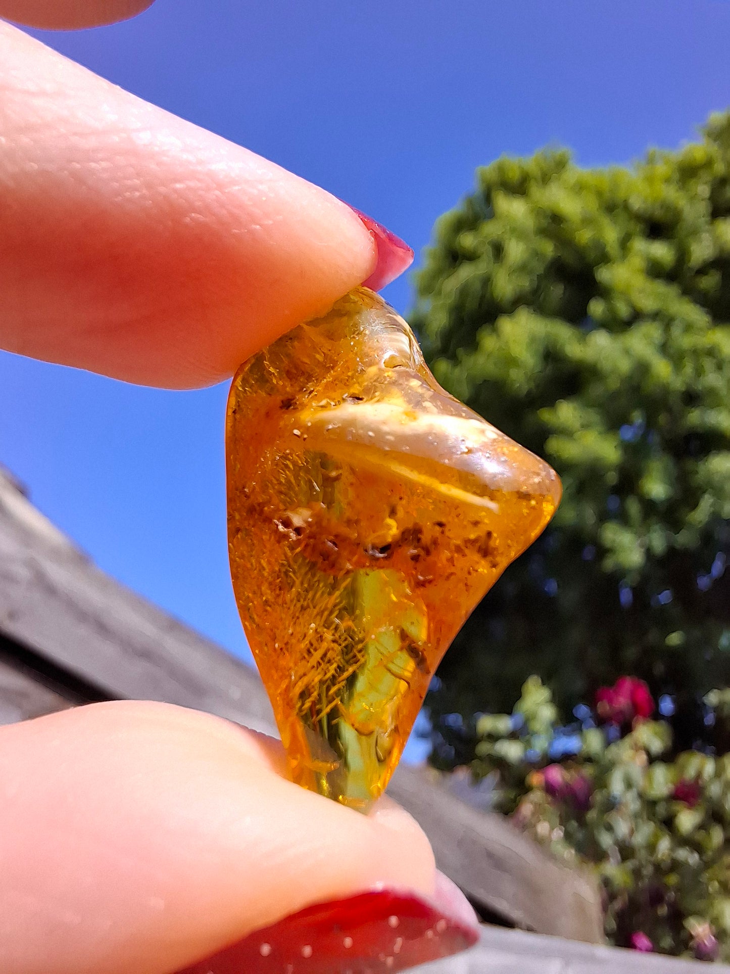 Baltic Amber, 1.25g, Fossil (Ref: A188)