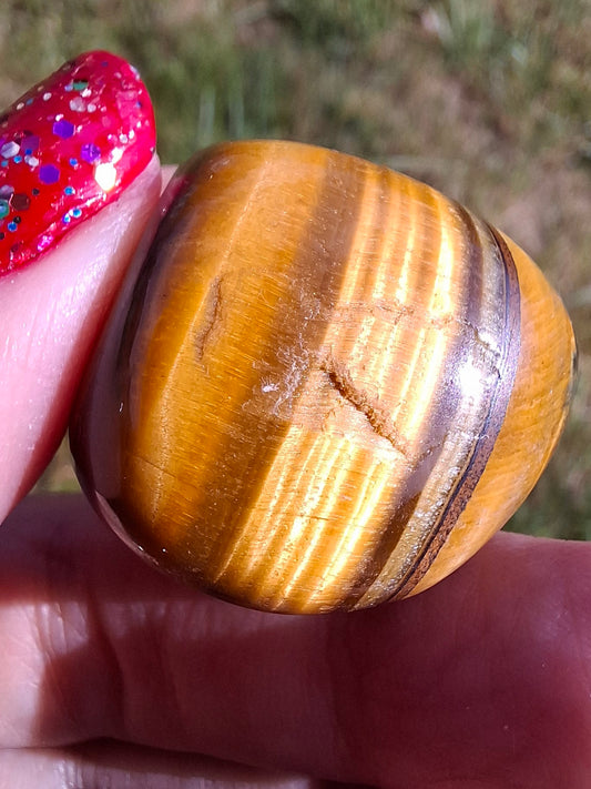 Tigers Eye, Tumble Stone, Crystal (Ref: T134)