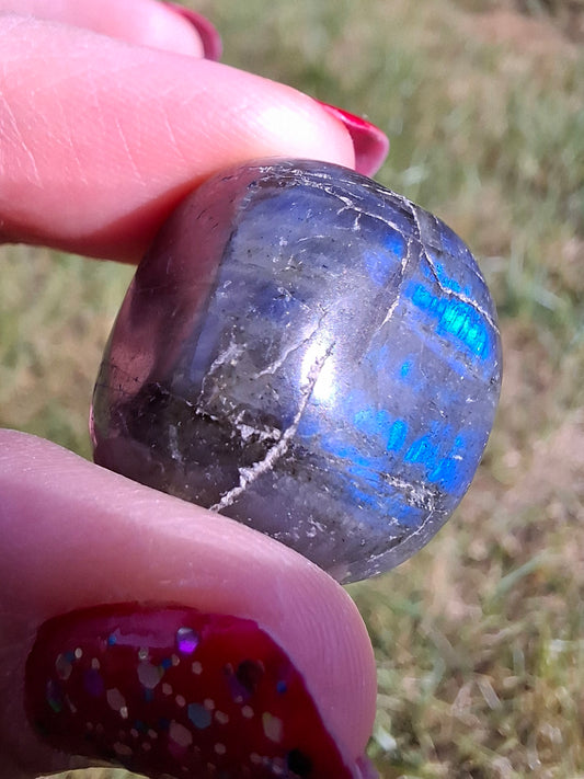 Labradorite, Tumble Stone, Crystal (Ref: T209)