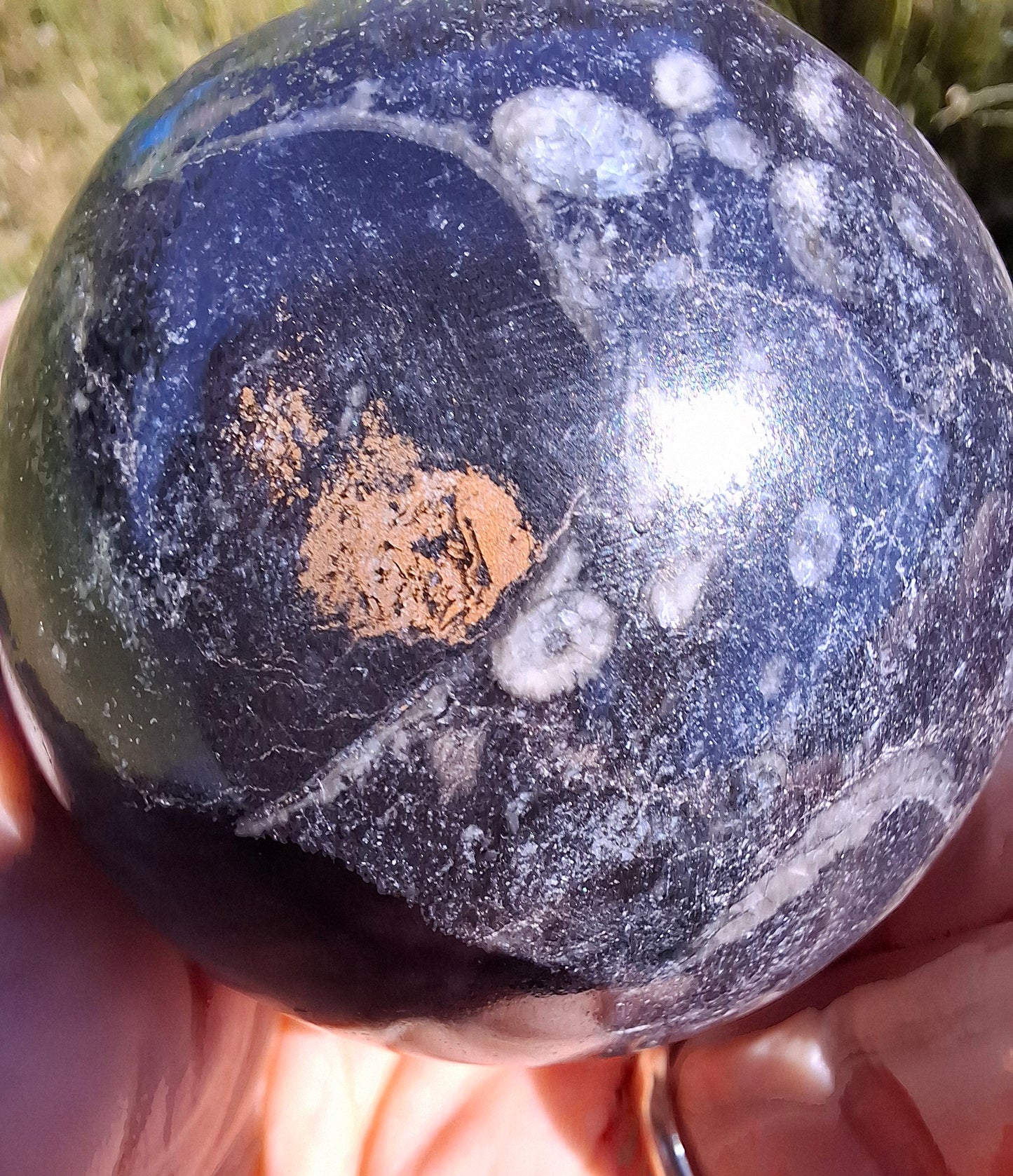 Orthoceras Sphere, Fossil (Ref: OS3)