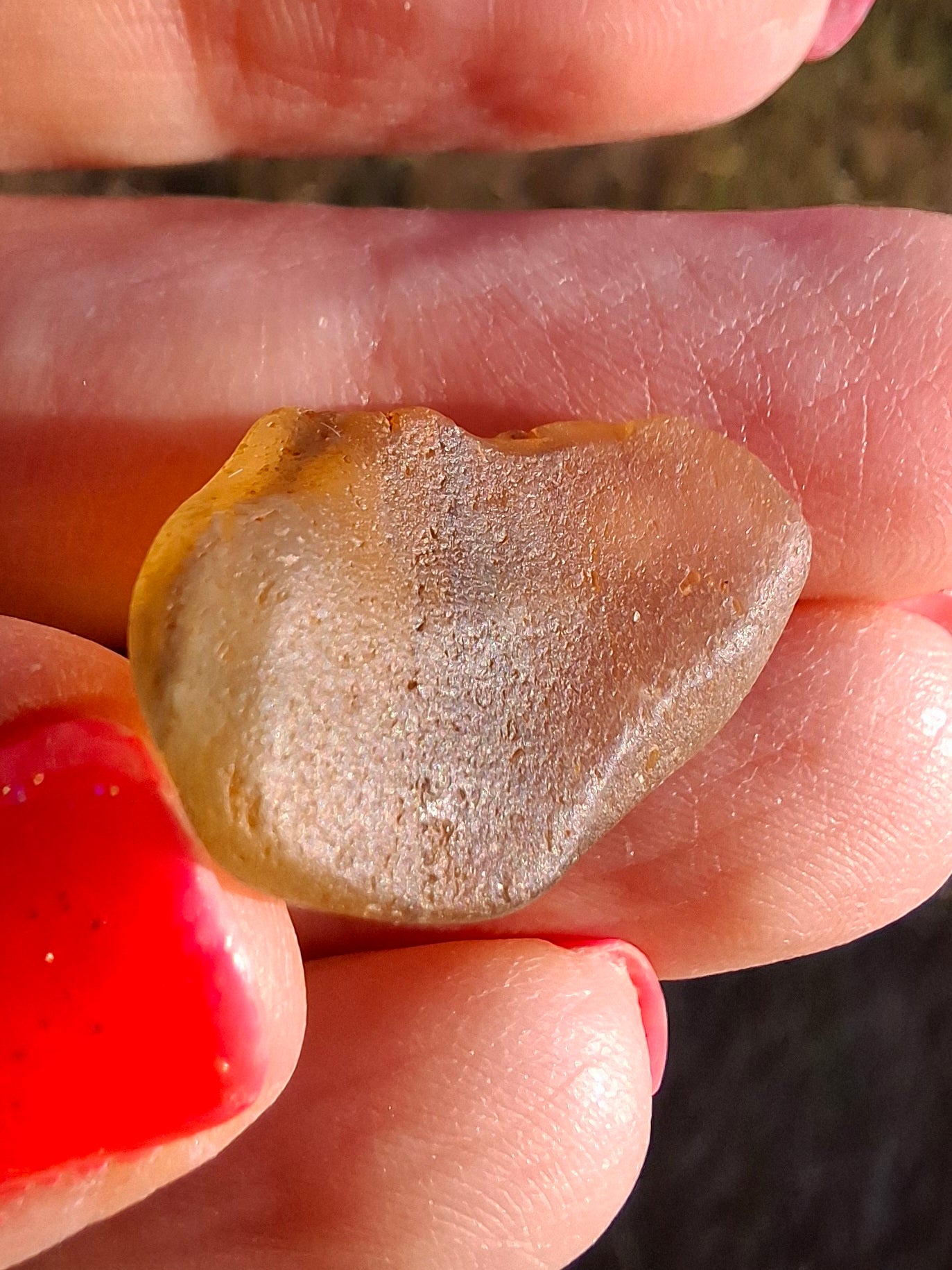 Libyan Desert Glass (darker) Piece, 3.72g, Tektite (Ref: L1378)