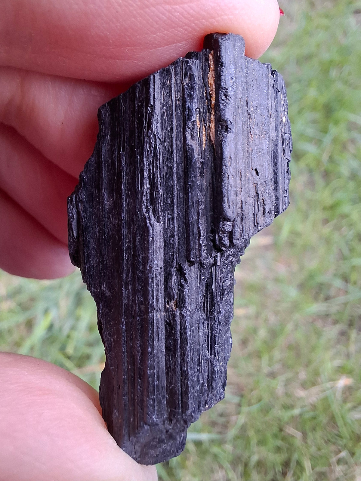 Black Tourmaline RAW, 13.00g, Crystal (Ref: RBT9)