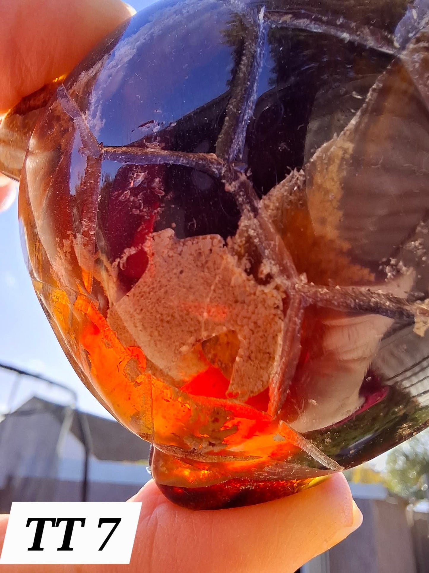 Red Amber Turtle, 56.87g, Carving, Fossil (Ref:TT7)