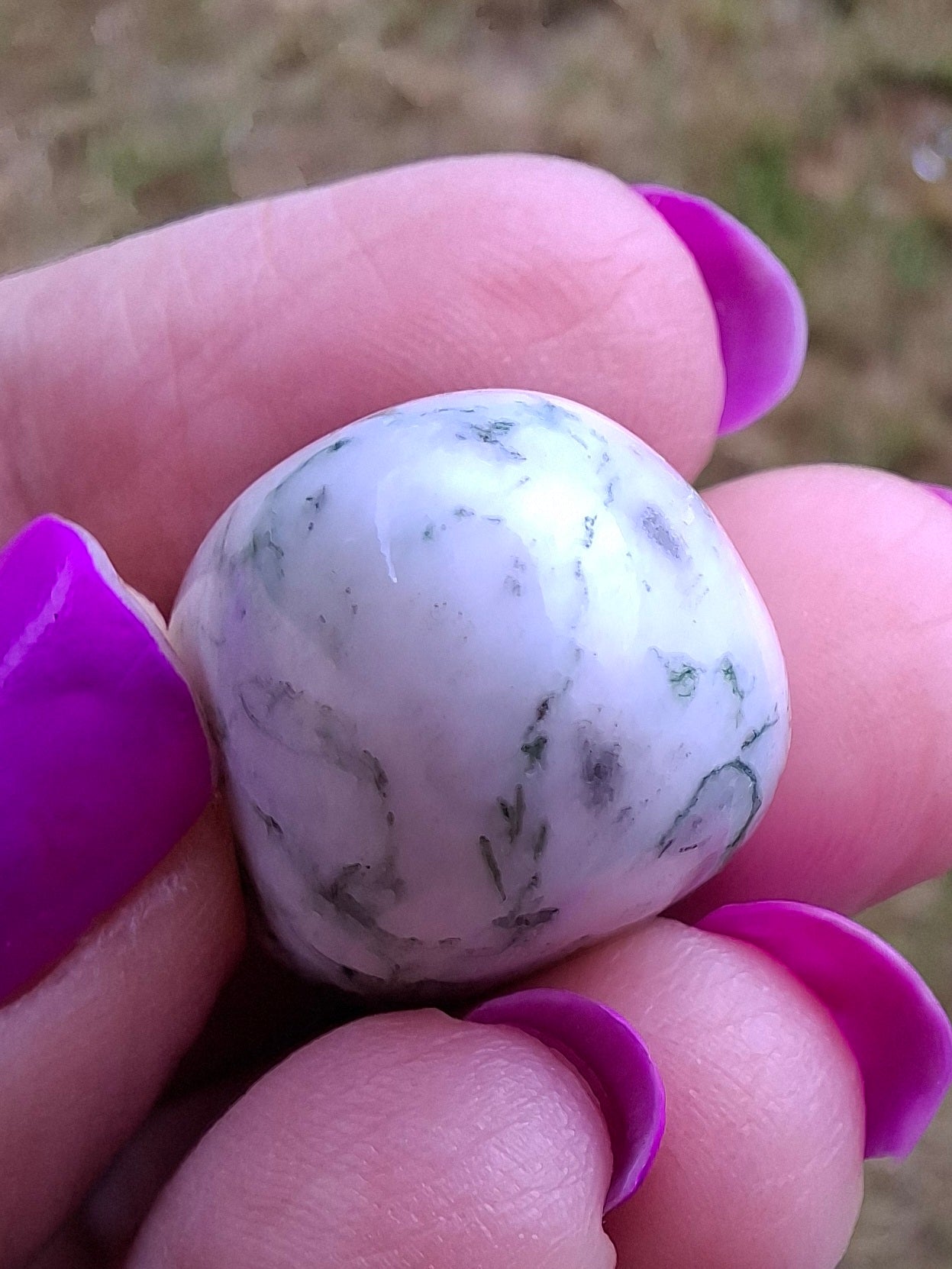 Tree Agate, Tumble Stone, Crystal (Ref: T3)